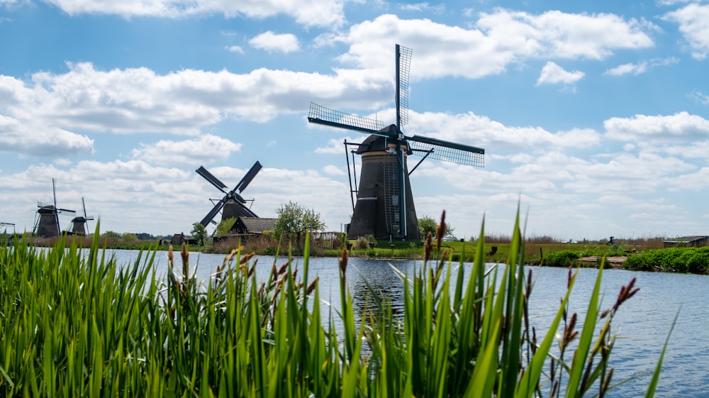 three windmills in a field next to a body of water