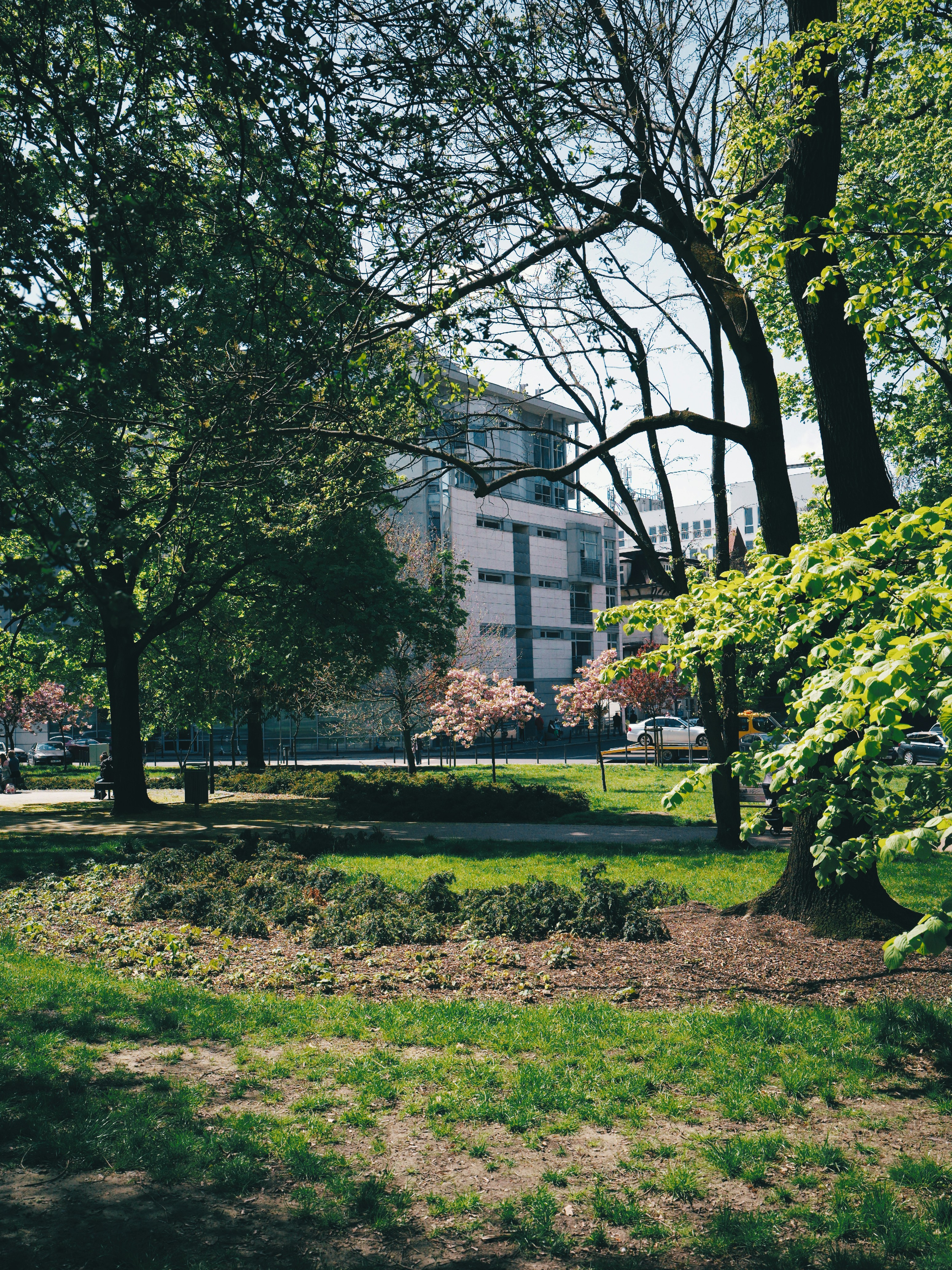 Photo by egorkomarov