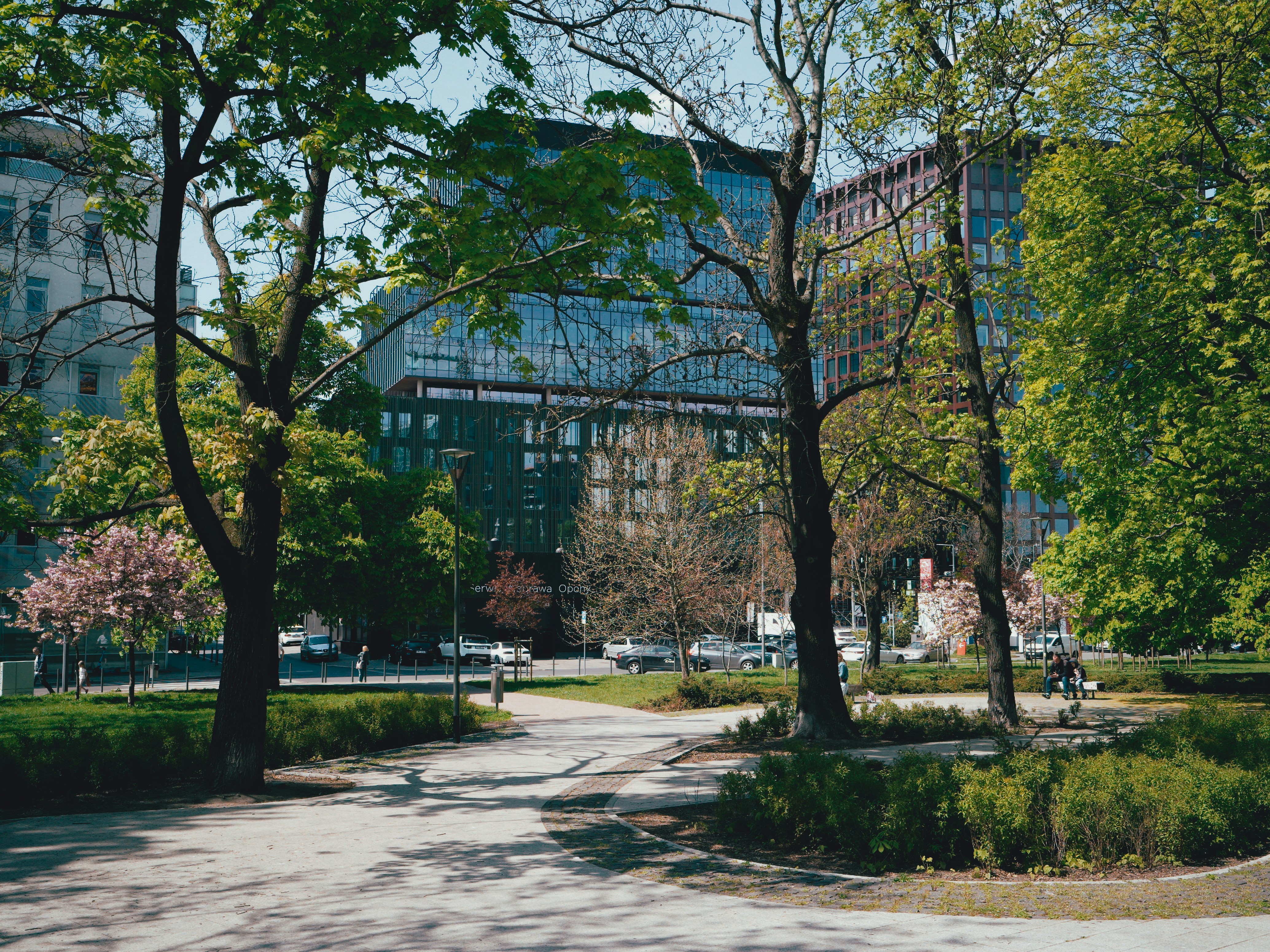 Photo by egorkomarov