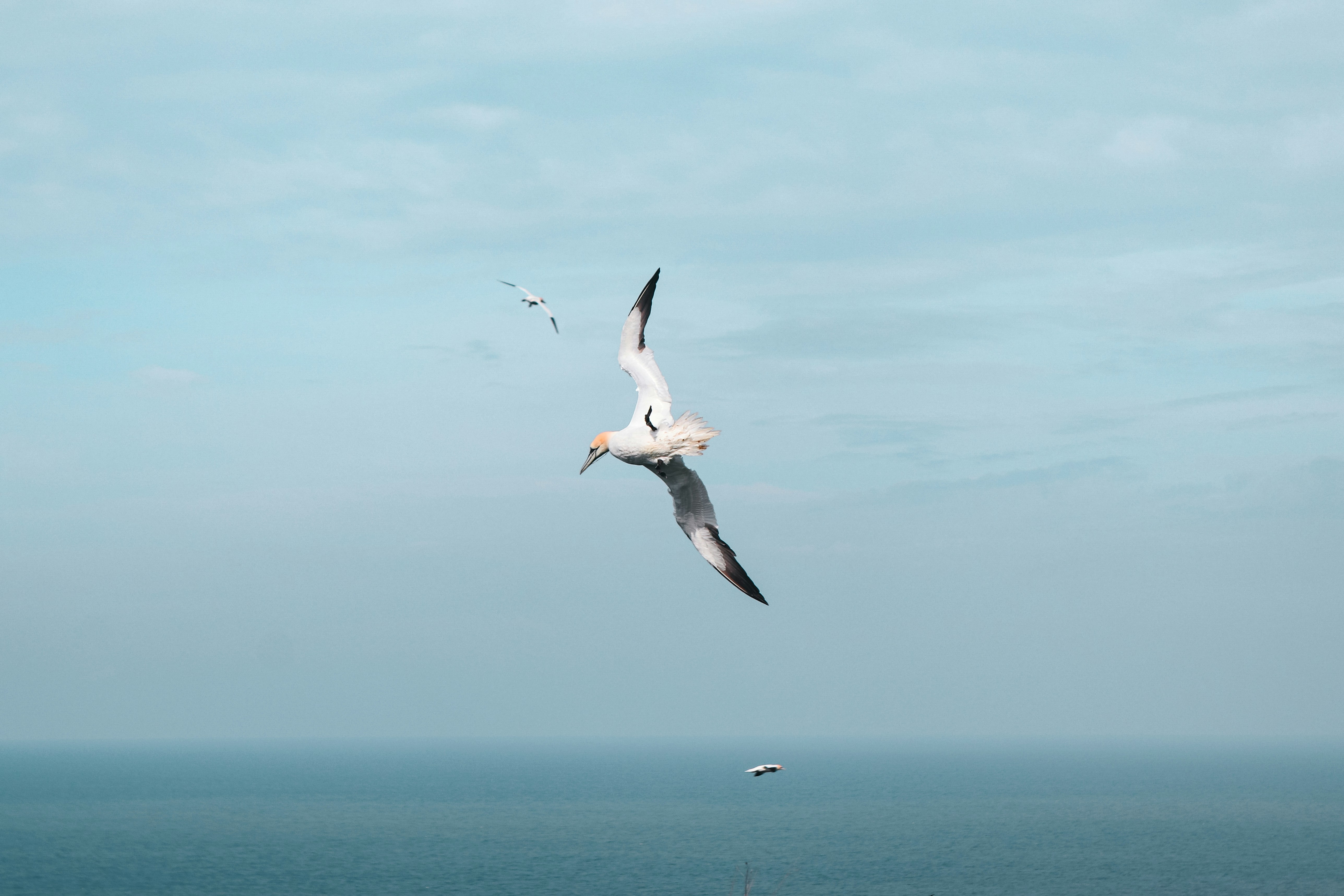 Photo by differentresonance