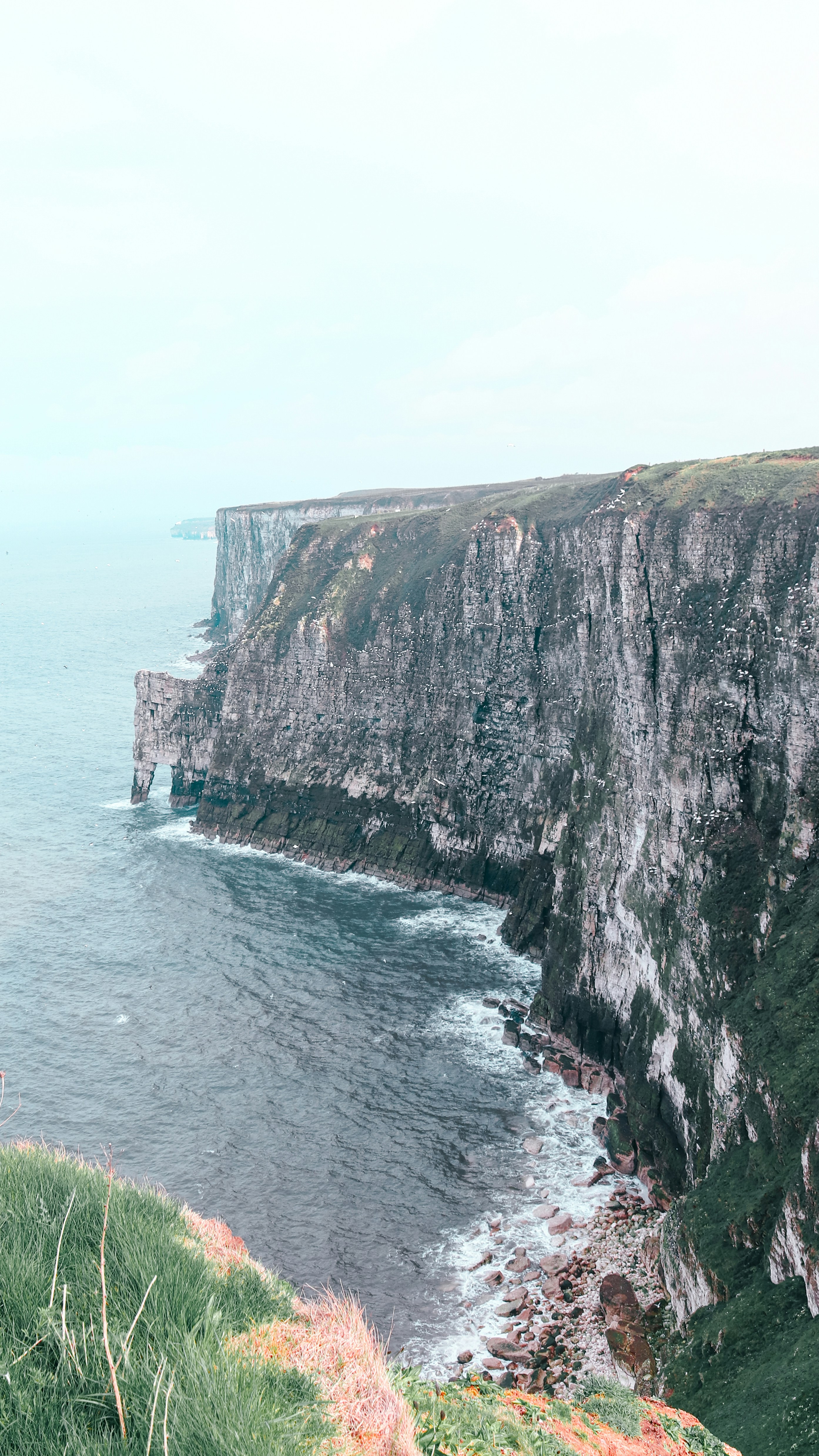 Photo by differentresonance