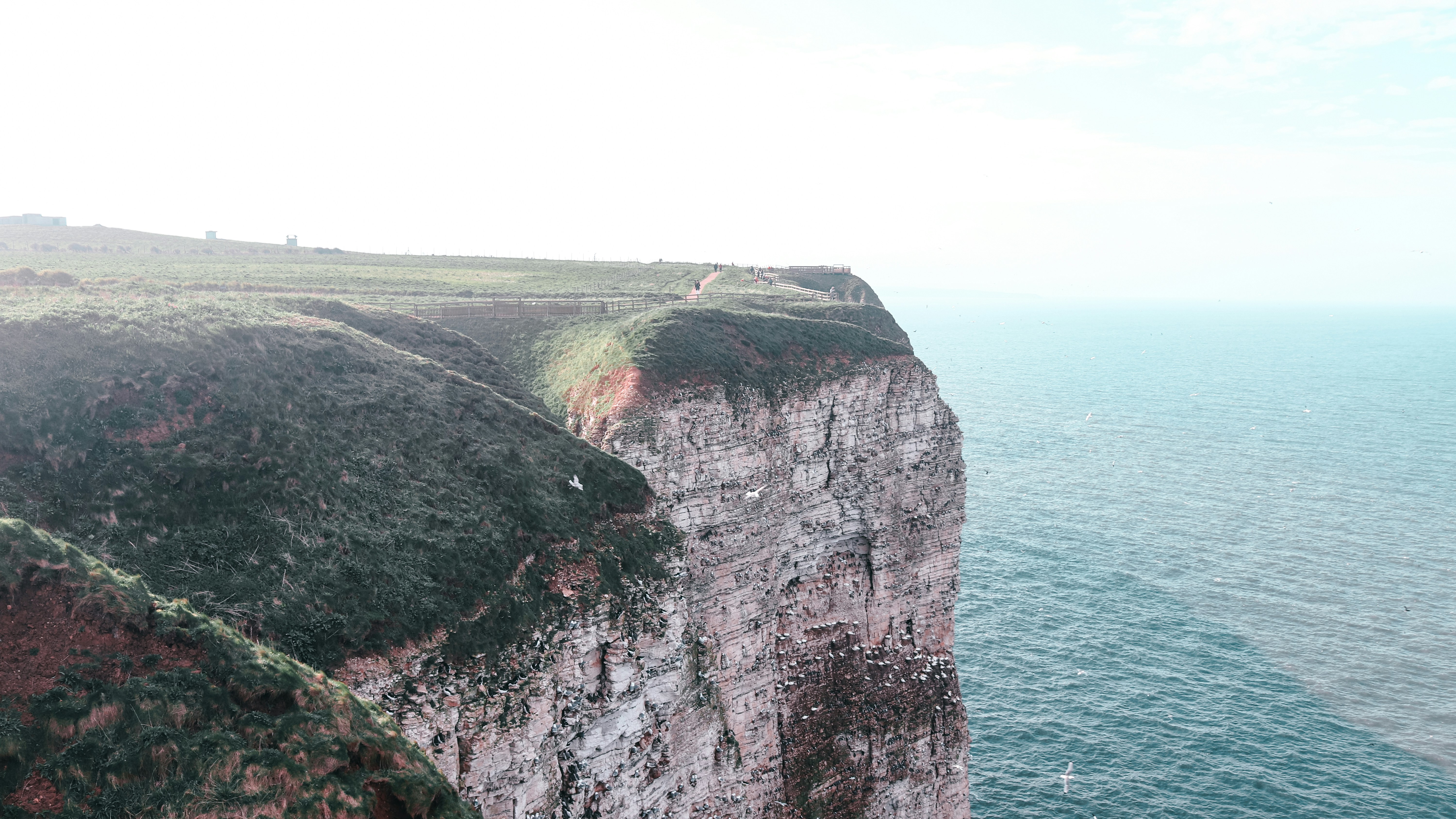 Photo by differentresonance