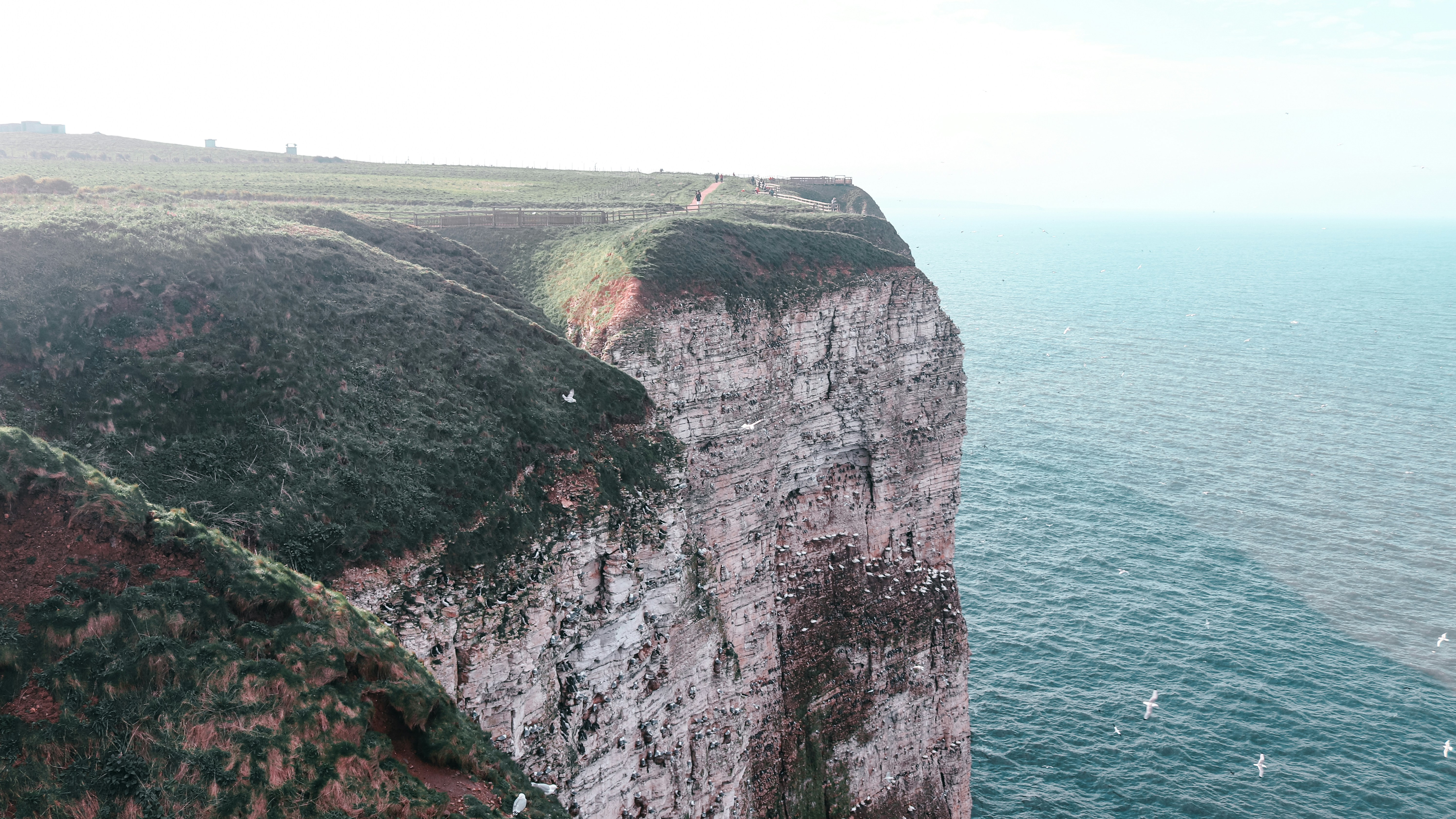 Photo by differentresonance