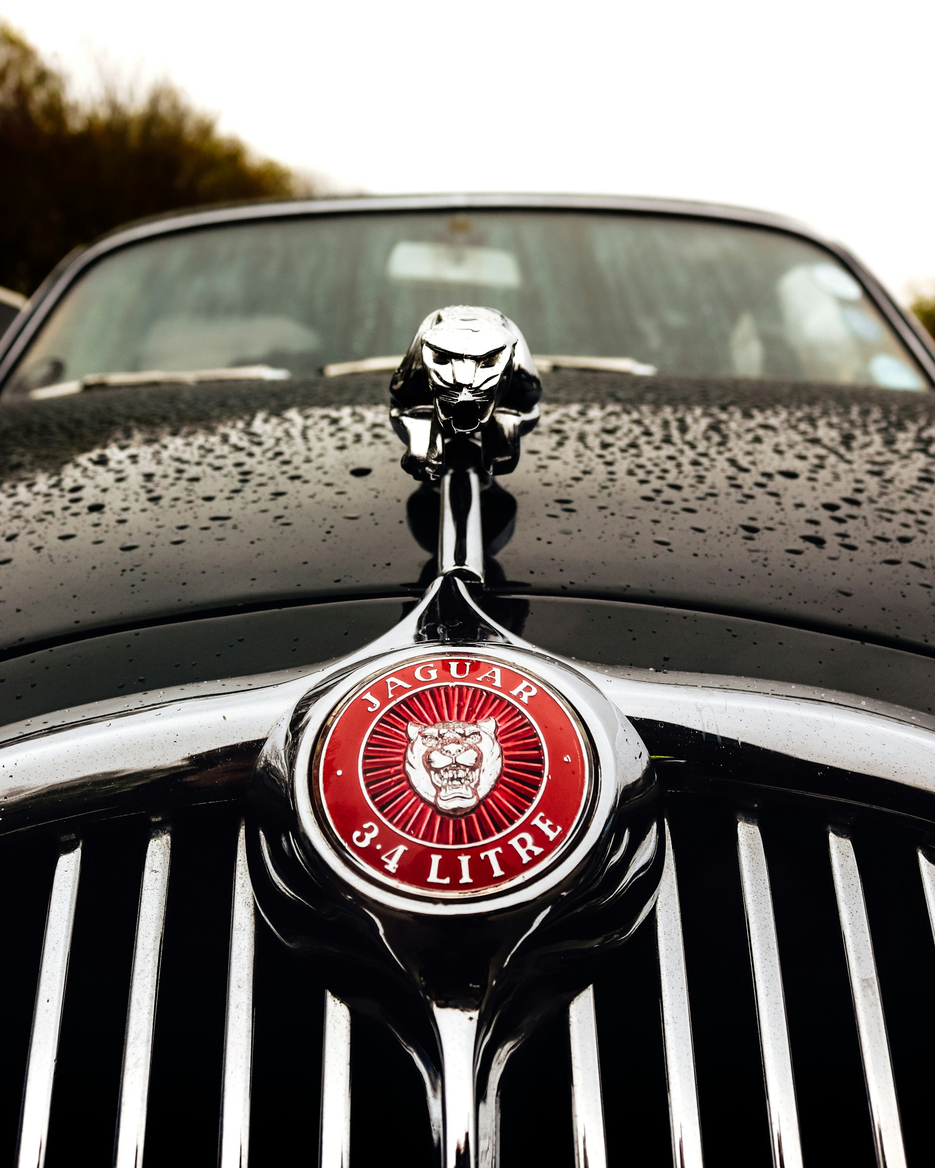a black car with a red emblem on it