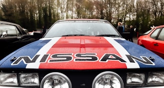 A vintage Nissan car with a bold racing stripe design in red, white, and blue on the hood, seen close-up from the front. The car is parked outdoors with water droplets covering its surface. Other cars and people are present in the blurred background, surrounded by trees.