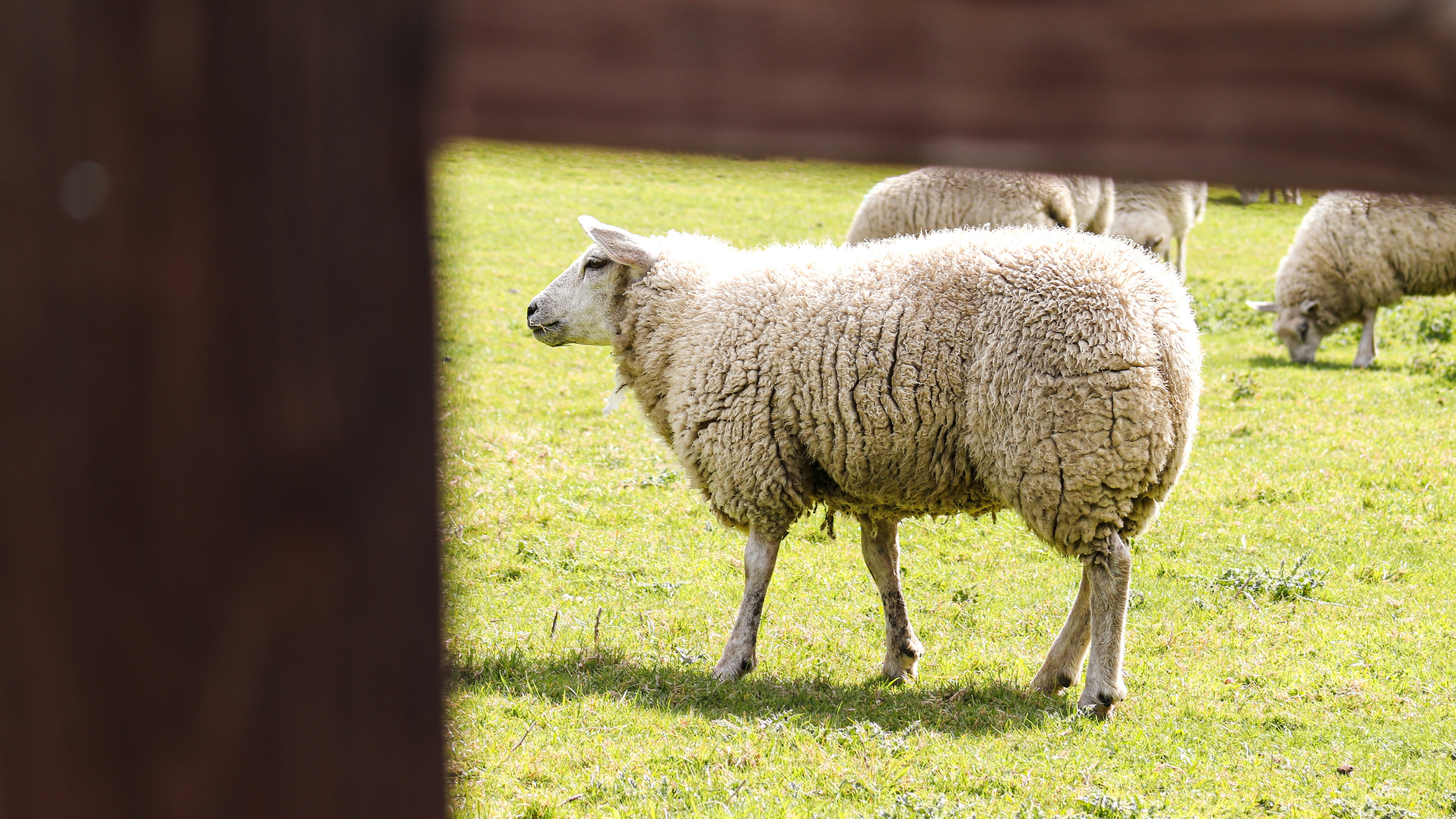 Photo by differentresonance