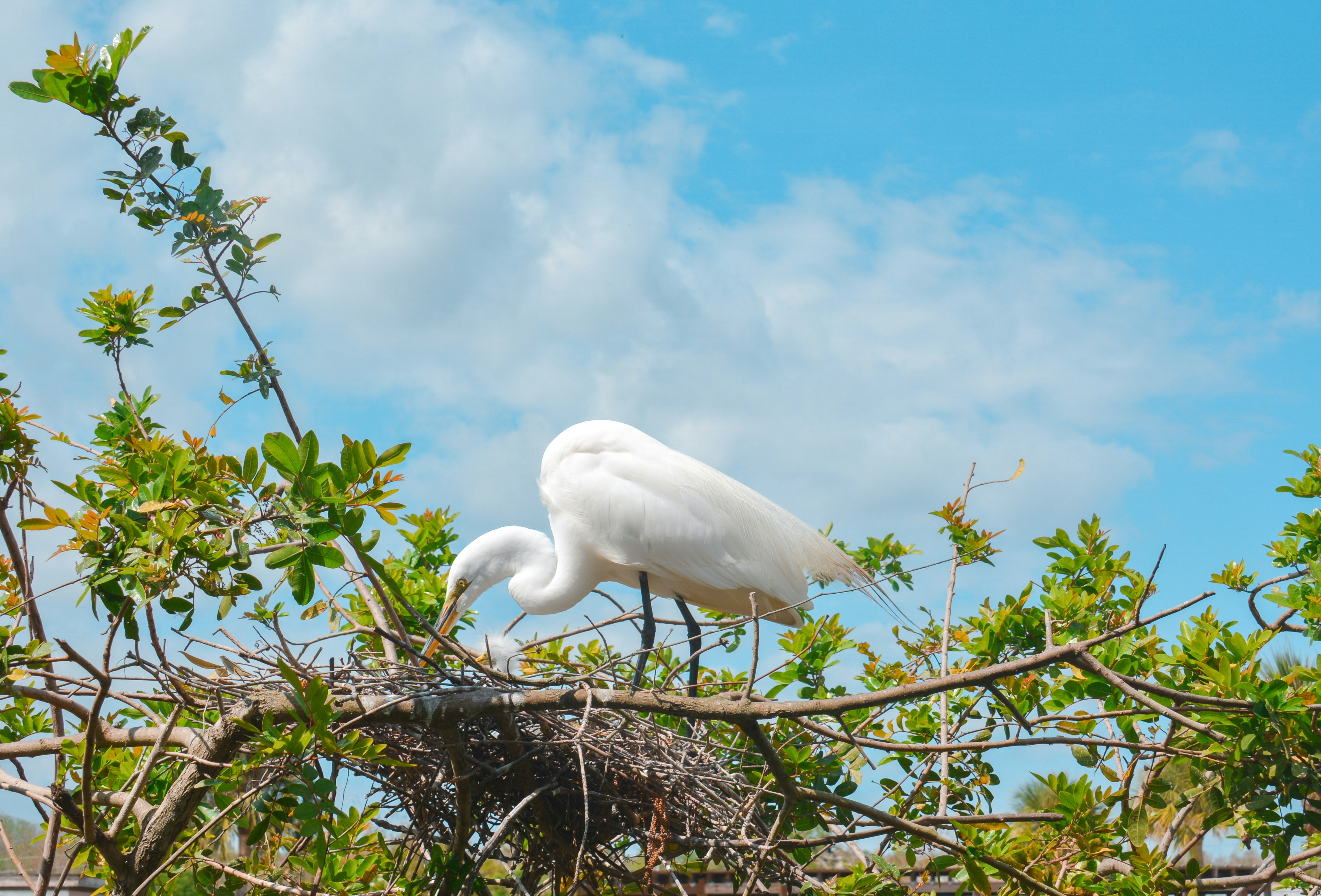 Photo by aryanspixel