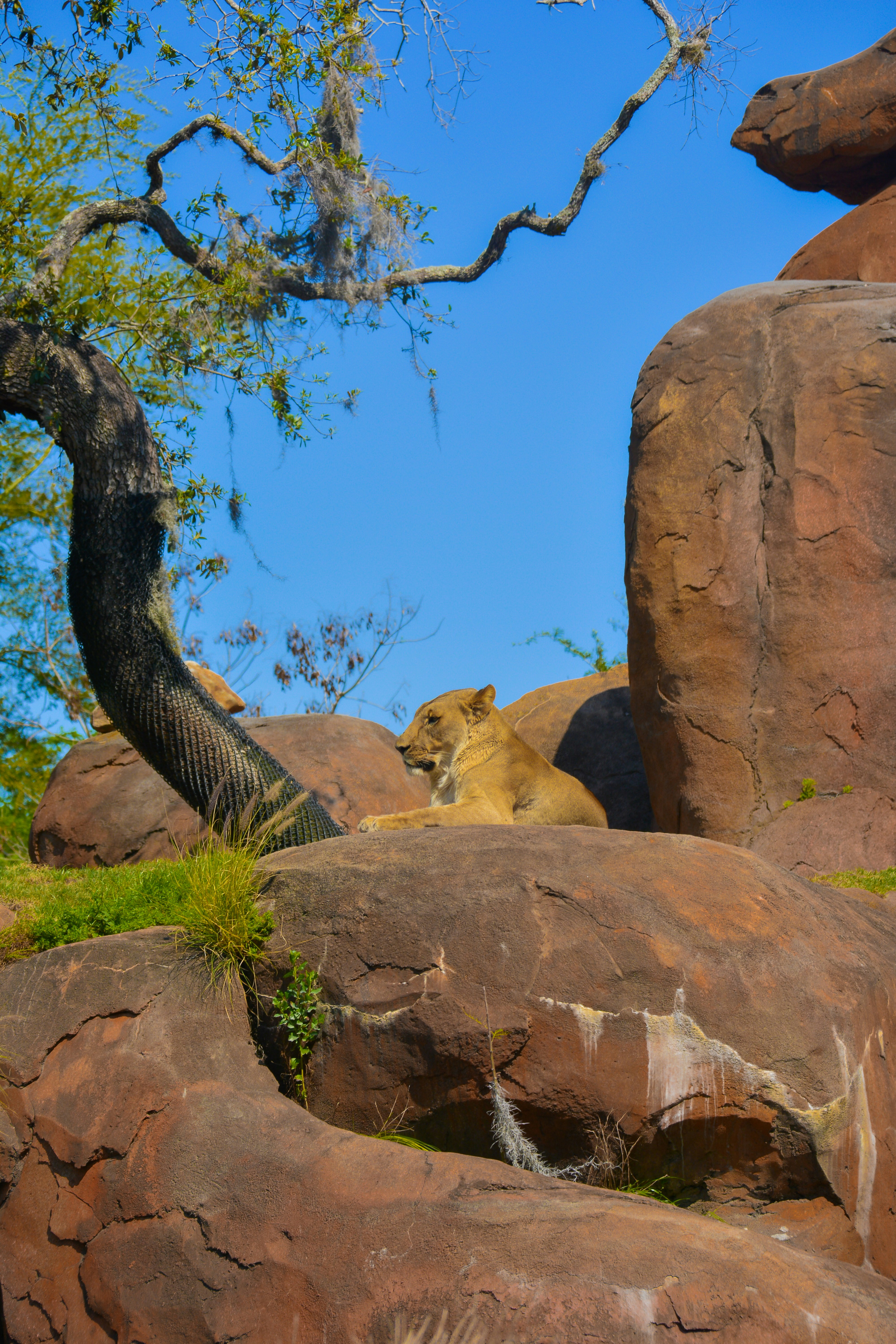 Photo by aryanspixel