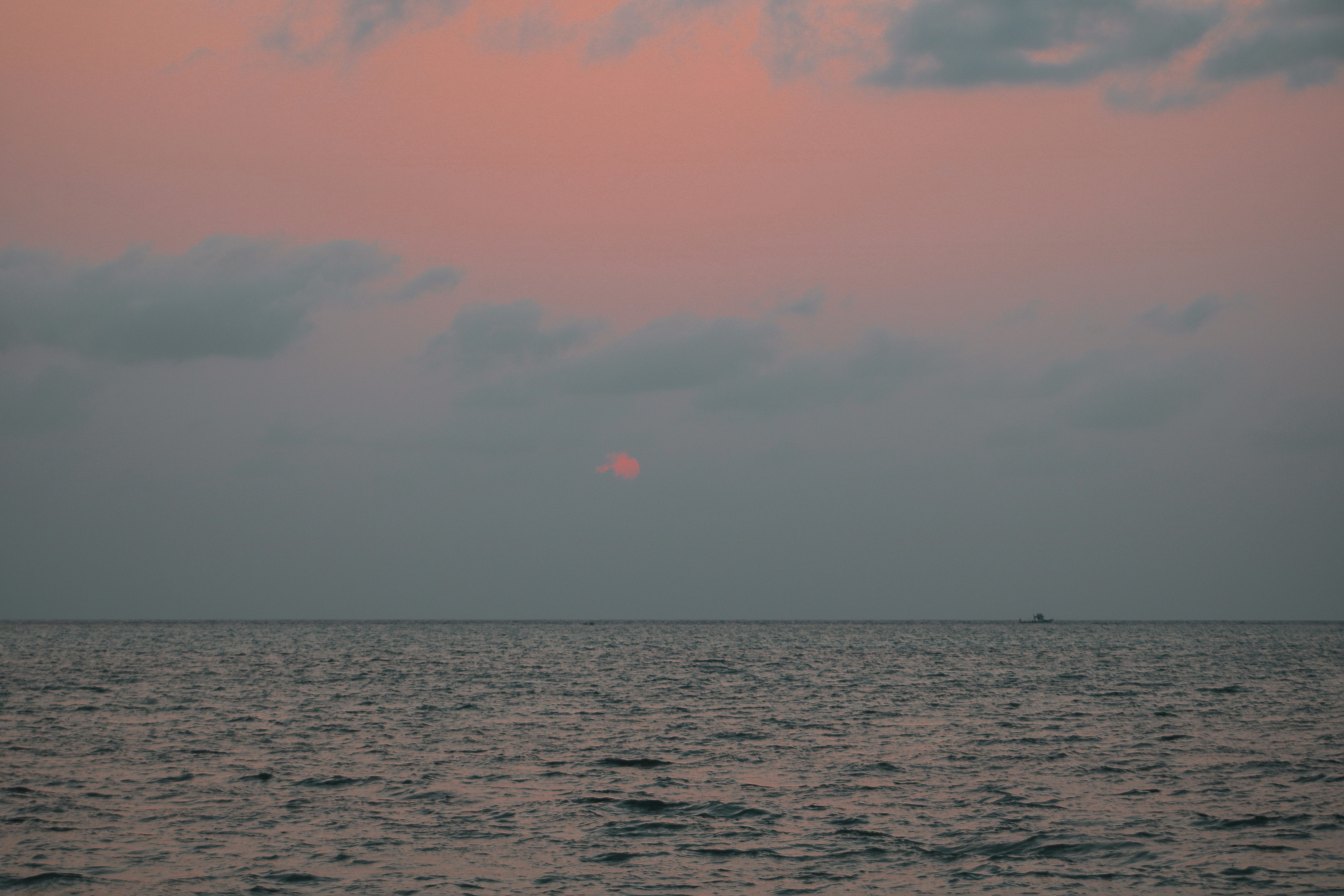 Photo by aryanspixel