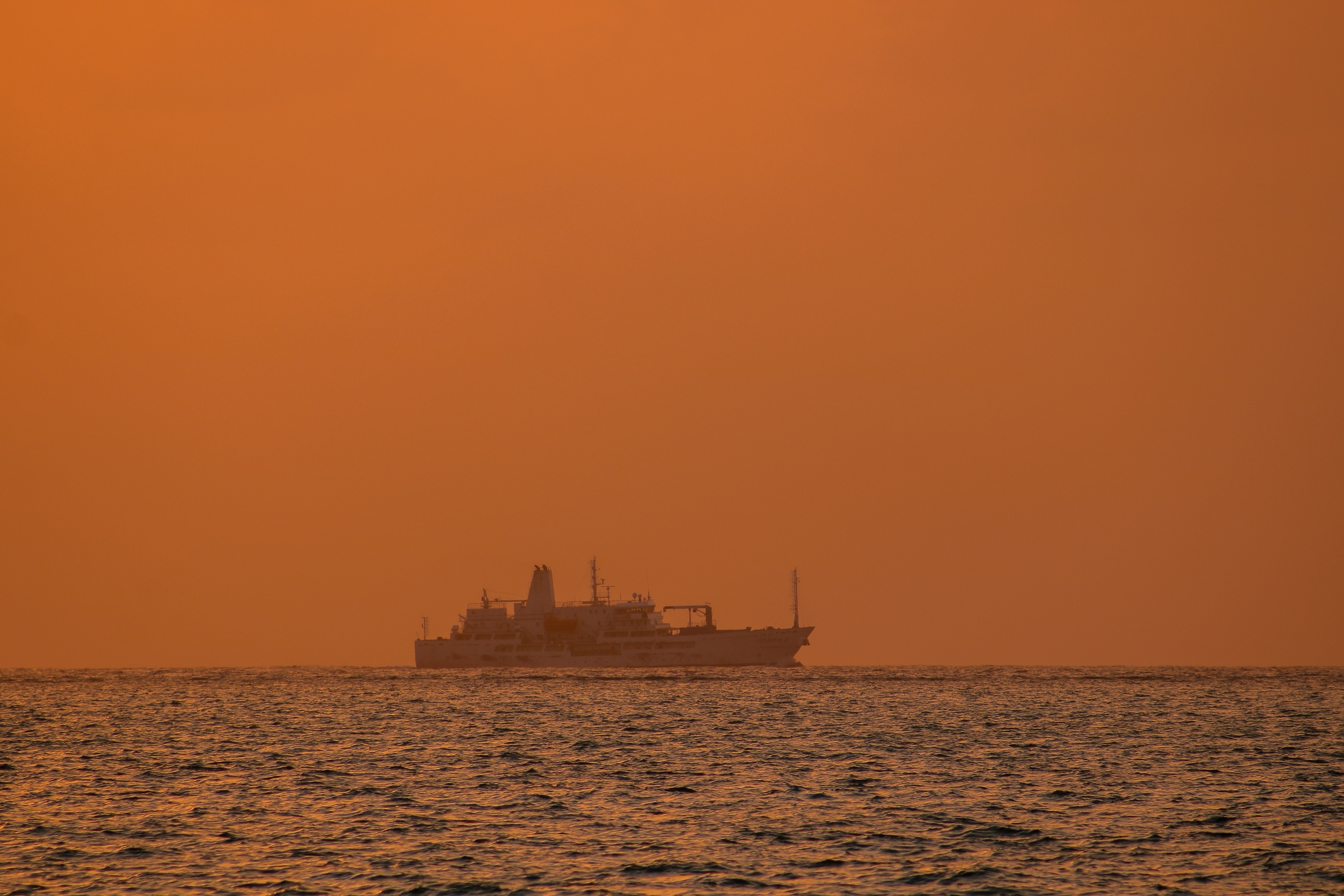 Photo by aryanspixel