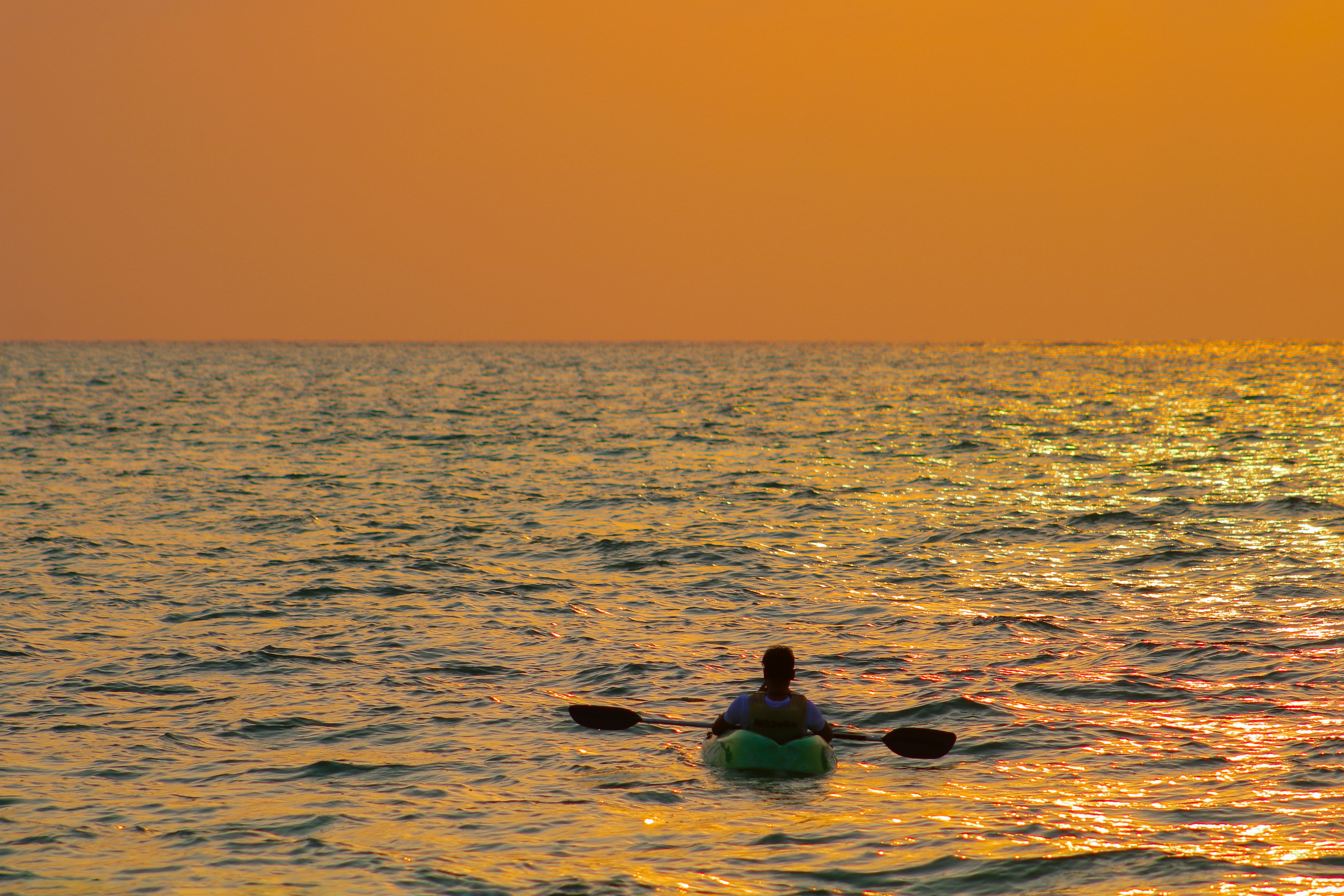 Photo by aryanspixel