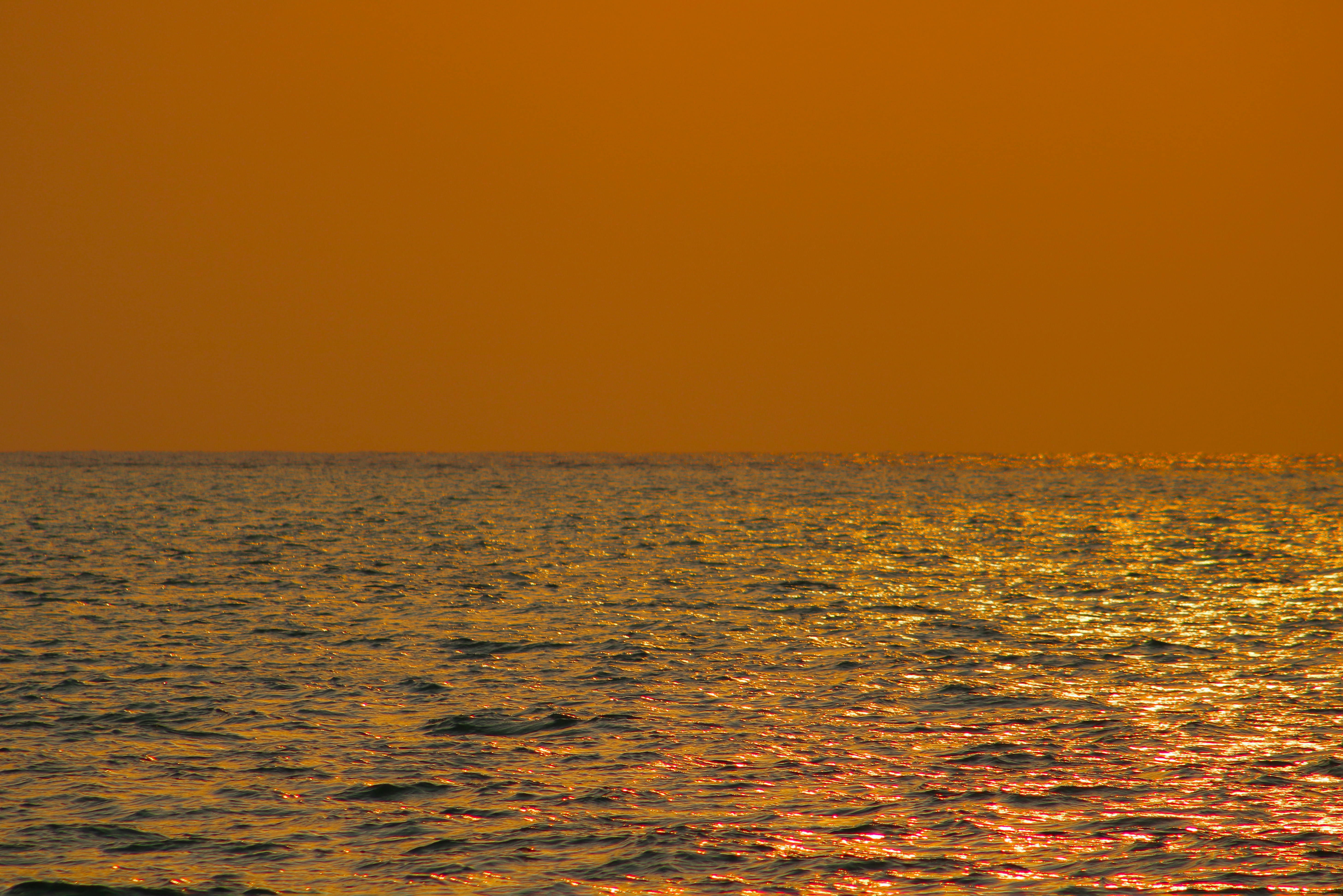 Photo by aryanspixel