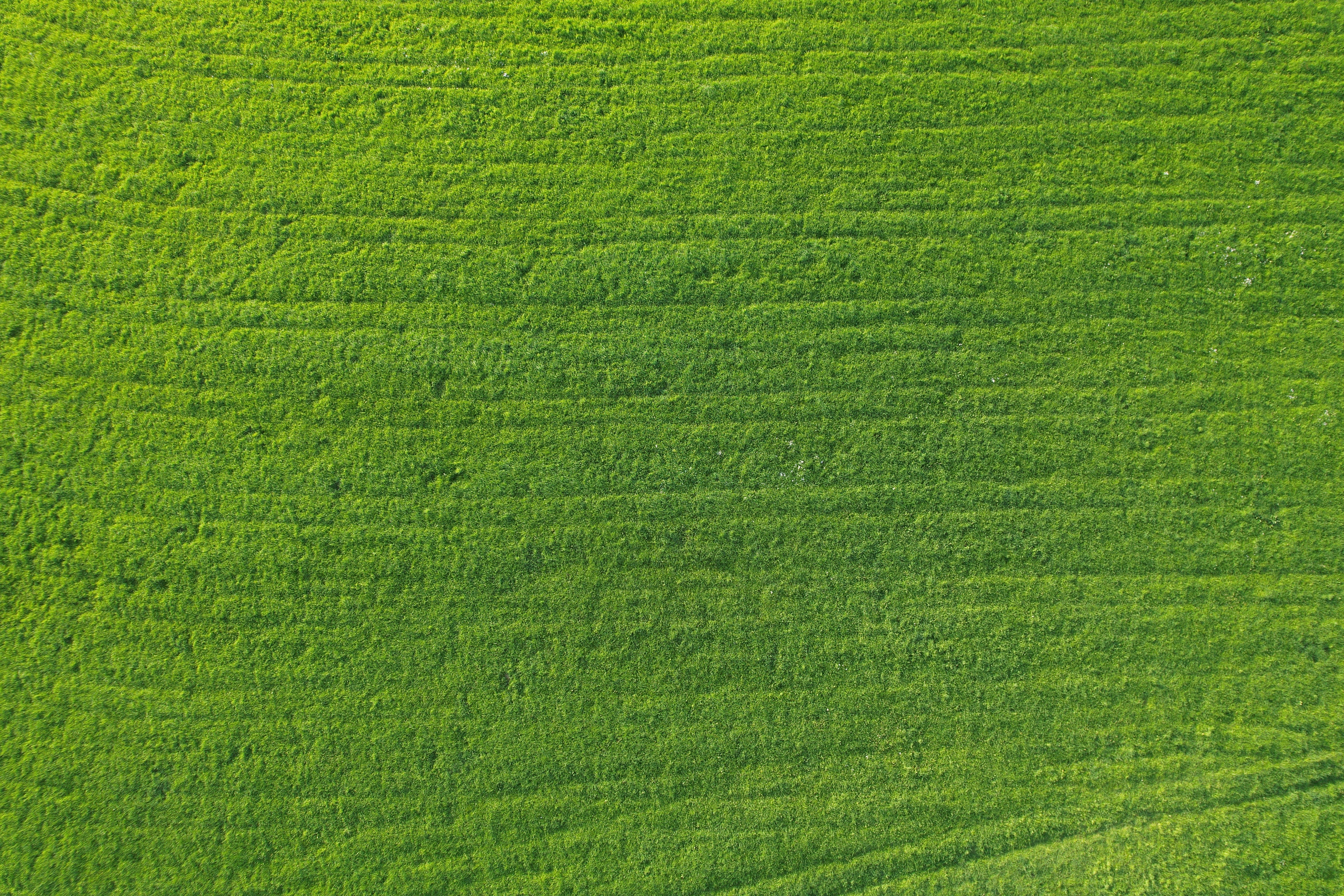 An aerial view of a green grass field photo Free Texture Image on