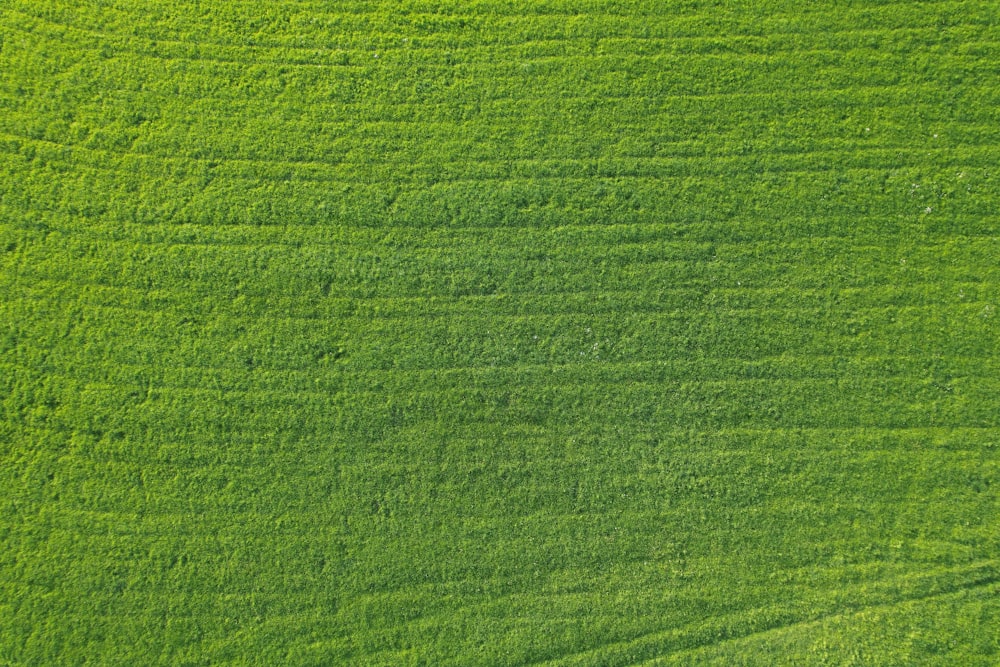 an aerial view of a green grass field
