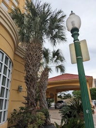 A street view featuring tall palm trees alongside a yellow stucco building with arched windows. A green lamppost and street sign are visible, with a red-roofed portico in the background. Vehicles and additional greenery can be seen beyond the portico.