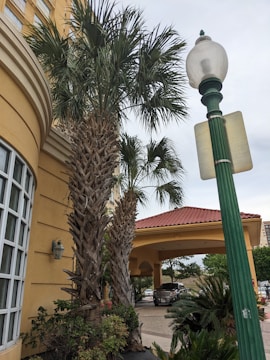 A street view featuring tall palm trees alongside a yellow stucco building with arched windows. A green lamppost and street sign are visible, with a red-roofed portico in the background. Vehicles and additional greenery can be seen beyond the portico.