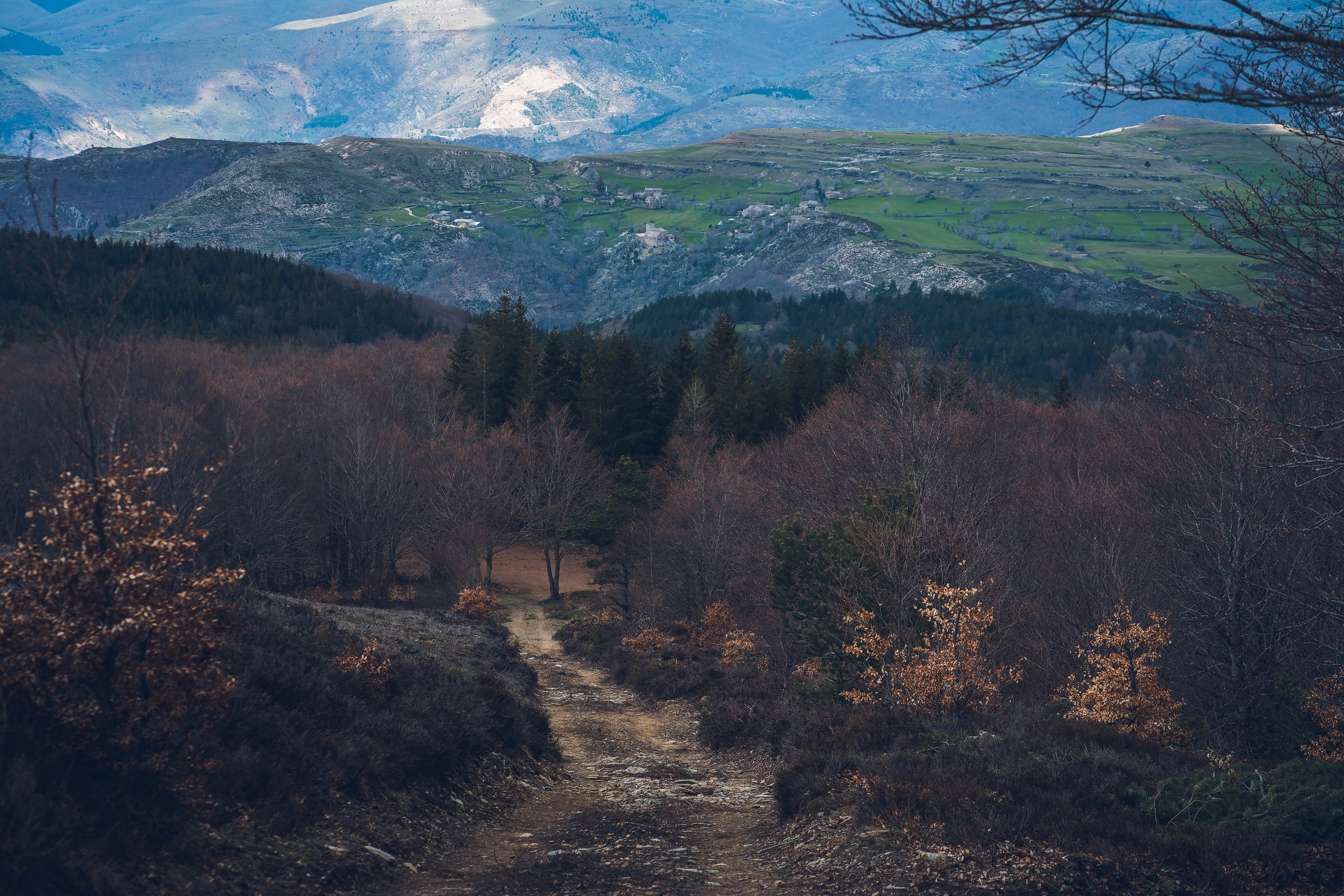 a dirt road in the middle of a forest with mountains in the background