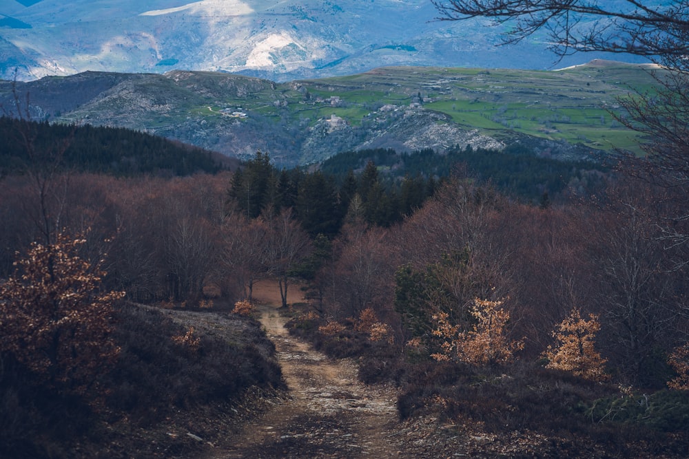 a dirt road in the middle of a forest with mountains in the background