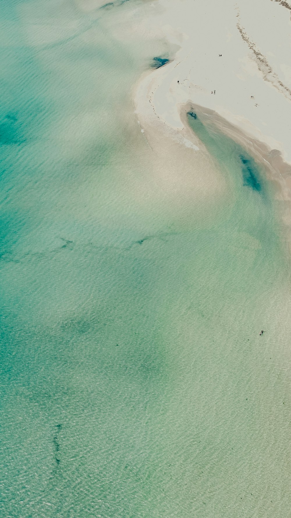 an aerial view of a beach and water