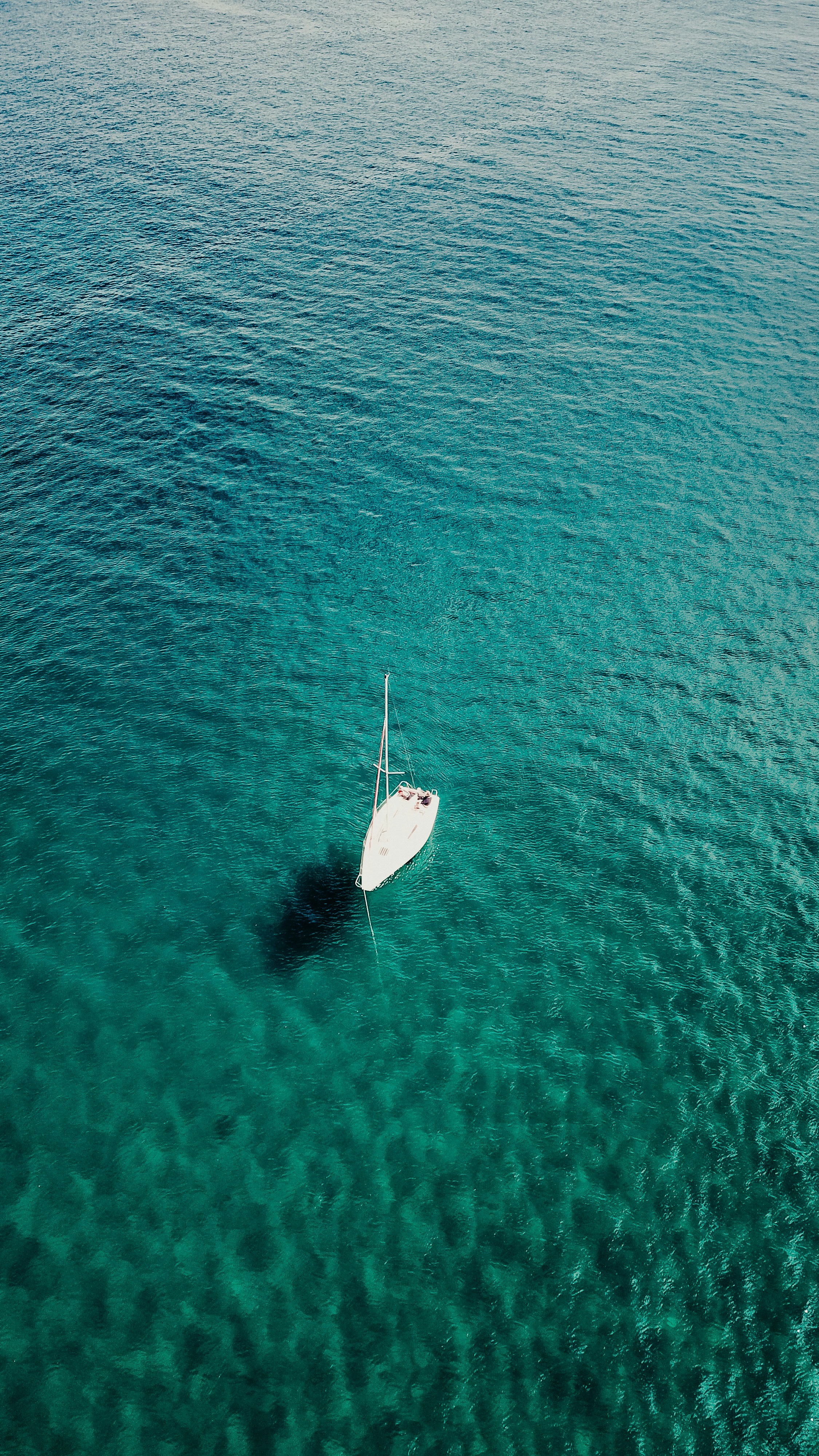 Photo by secondsight