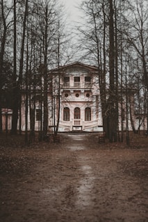 a large house surrounded by trees in the middle of a forest