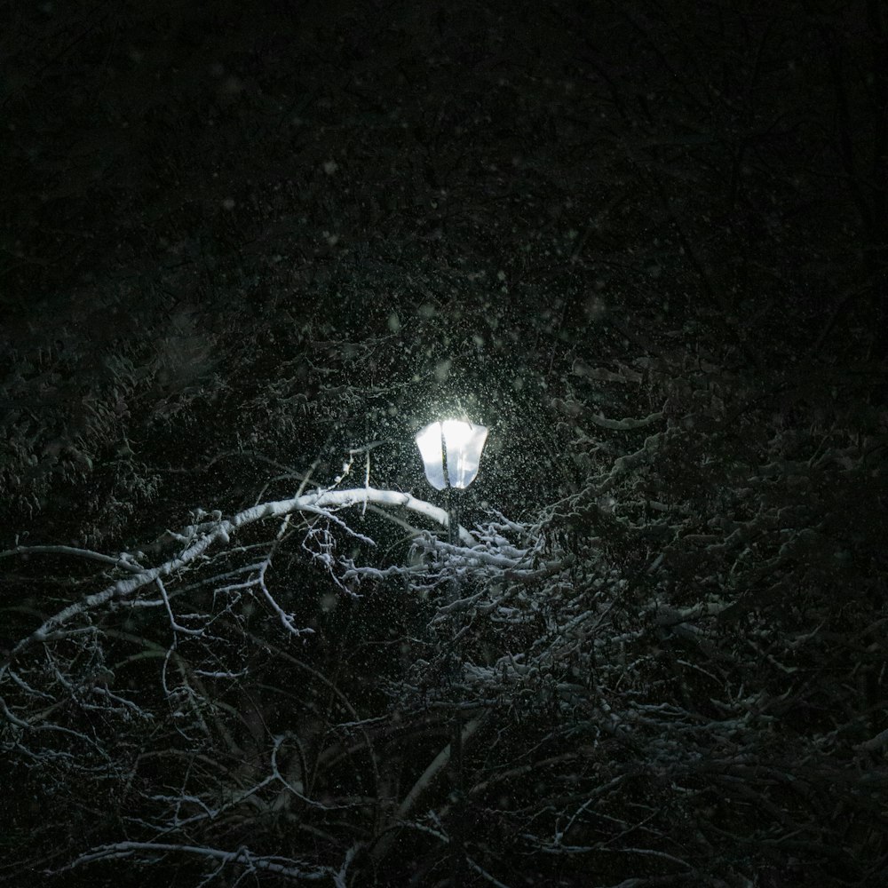 a street light sitting in the middle of a snow covered forest
