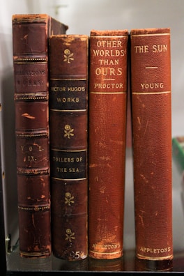 a row of books sitting on top of a shelf