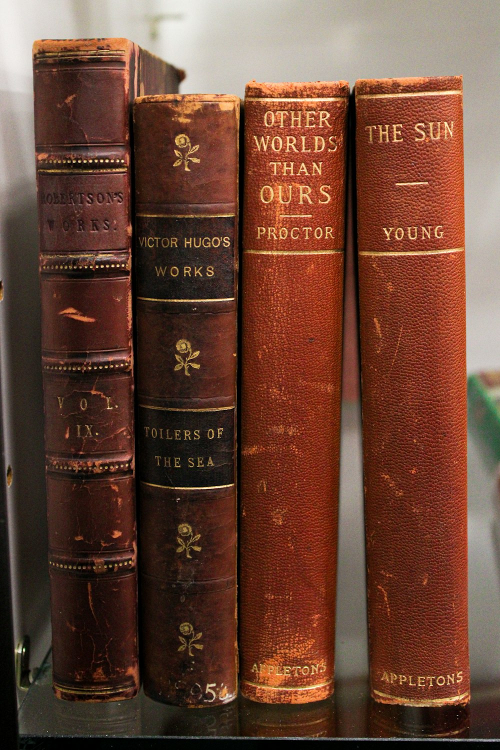 a row of books sitting on top of a shelf