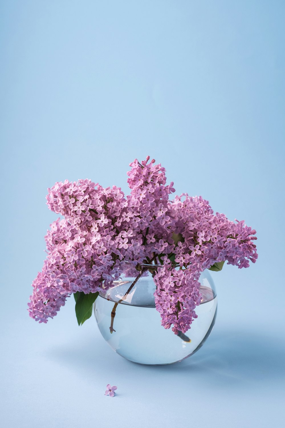 a vase filled with purple flowers on top of a table