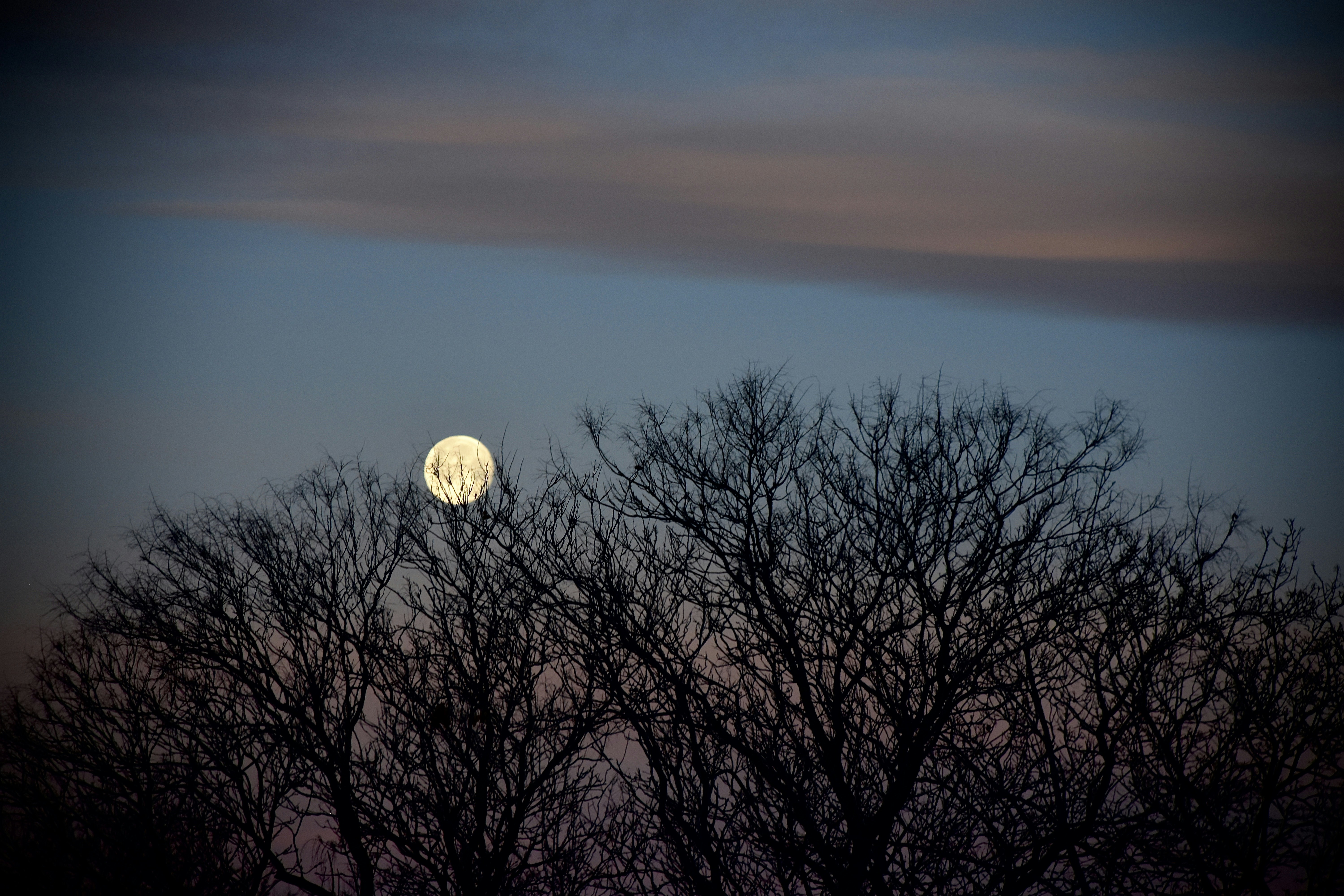 Photo by camielise77