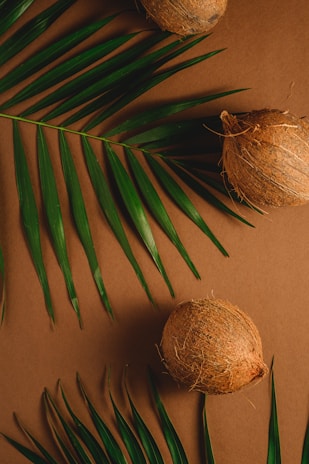 Three coconuts arranged diagonally on a brown surface, accompanied by green palm leaves that create a tropical and organic feel. The coconuts are natural and textured, with their fibrous husks visible.