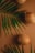 Three coconuts arranged diagonally on a brown surface, accompanied by green palm leaves that create a tropical and organic feel. The coconuts are natural and textured, with their fibrous husks visible.