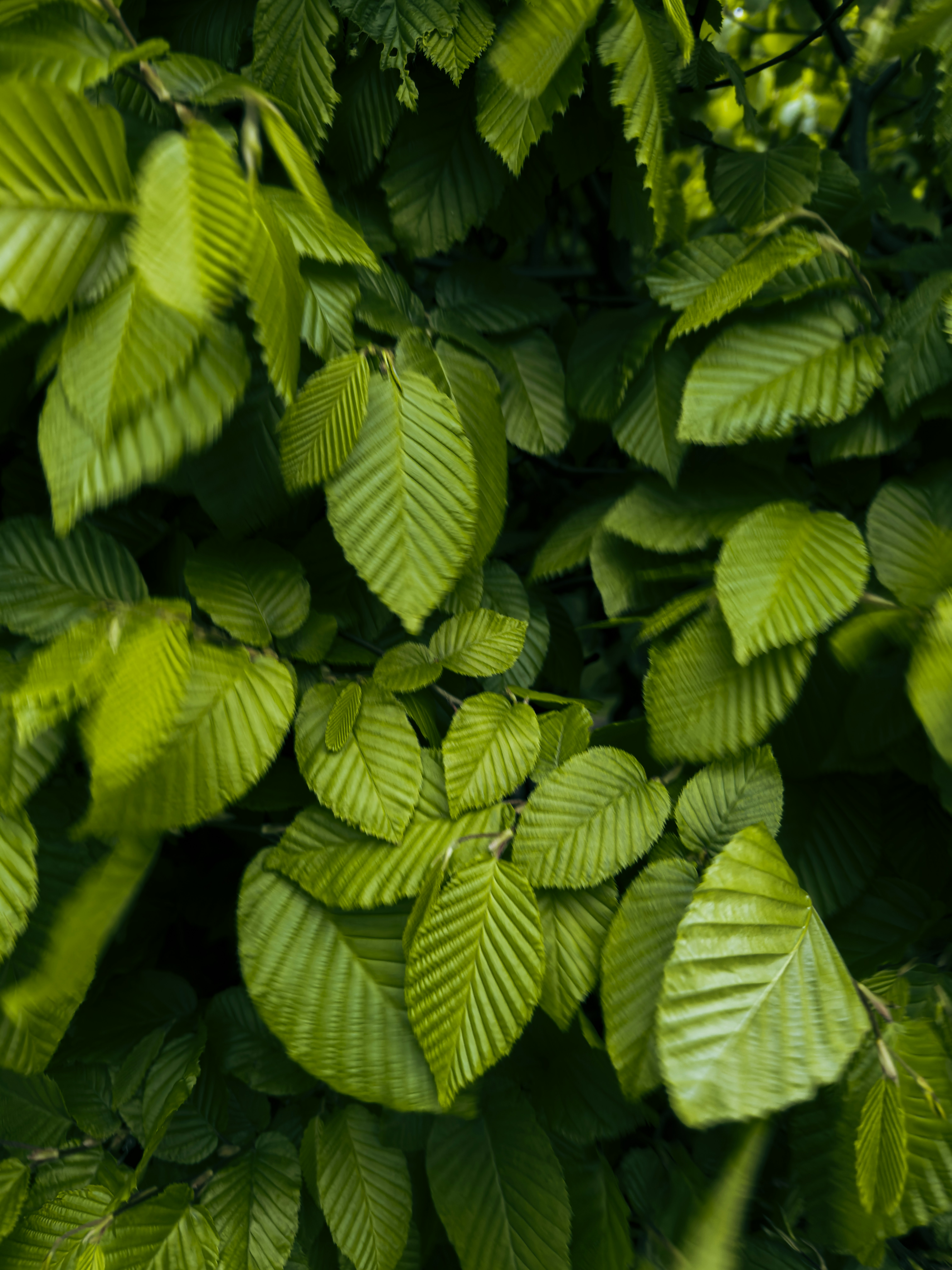 Photo by eugenechystiakov