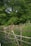 A picturesque scene of a rustic wooden fence in a lush green setting. The fence is constructed with uneven, natural wooden posts and rails, surrounded by tall grass and small purple wildflowers. Dense, leafy trees fill the background, creating a serene and natural environment.