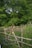 A picturesque scene of a rustic wooden fence in a lush green setting. The fence is constructed with uneven, natural wooden posts and rails, surrounded by tall grass and small purple wildflowers. Dense, leafy trees fill the background, creating a serene and natural environment.