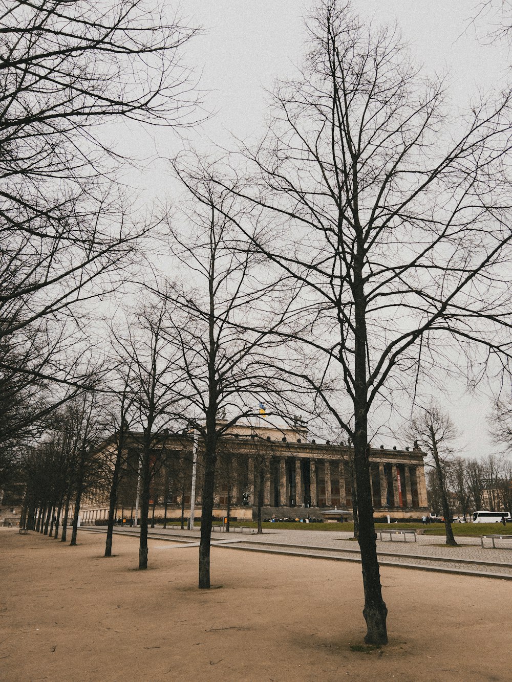 a park with trees and a building in the background