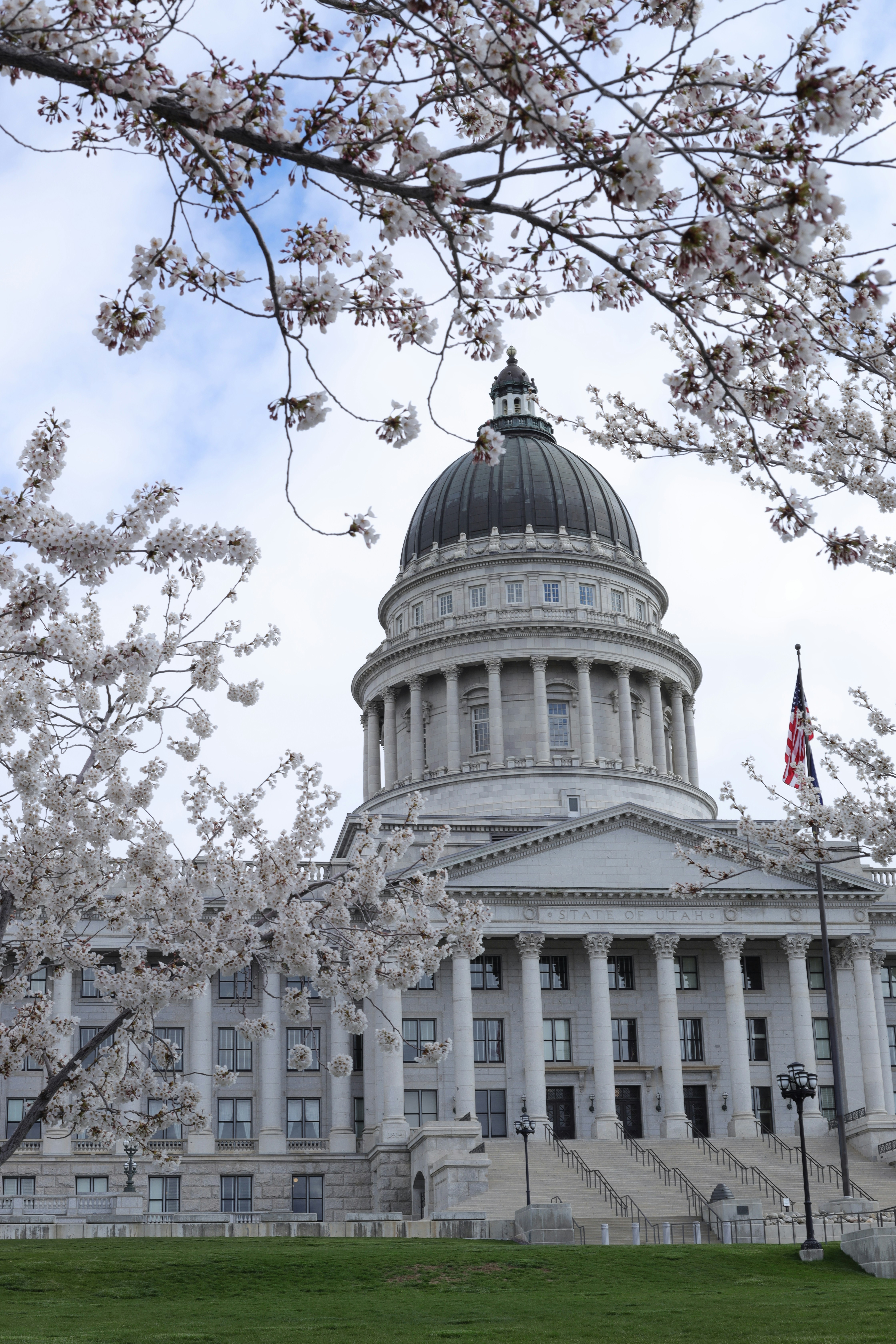 Community Strategy Group's image