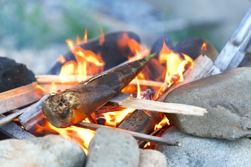 Close-up of Aloka resting beside a campfire during the pilgrimage.