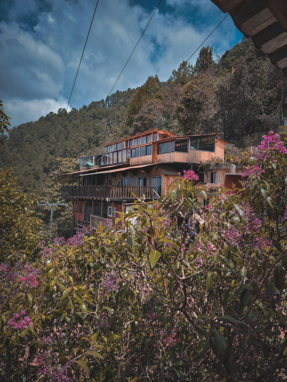 a house on a hill surrounded by trees