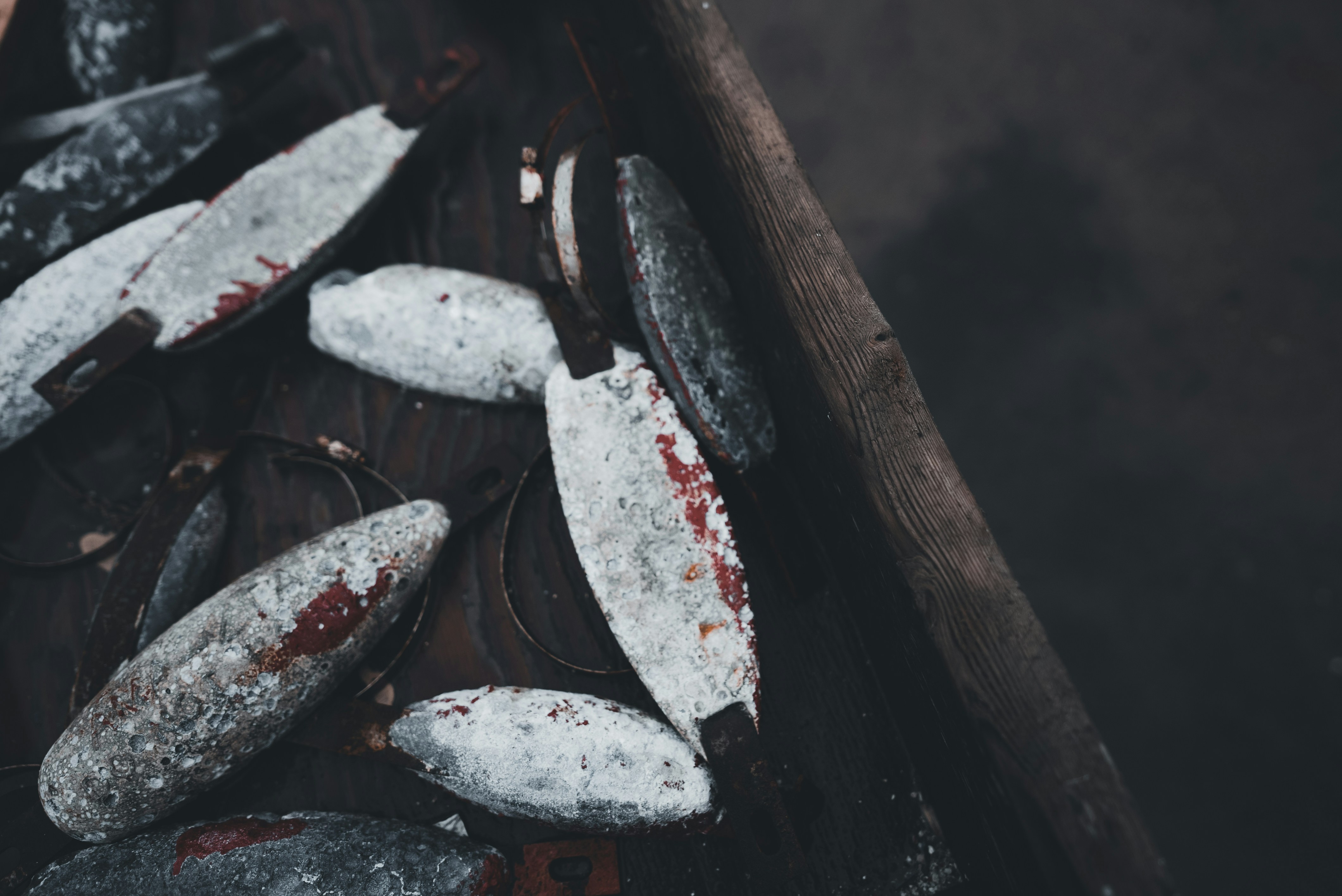 Photo by introspectivedsgn