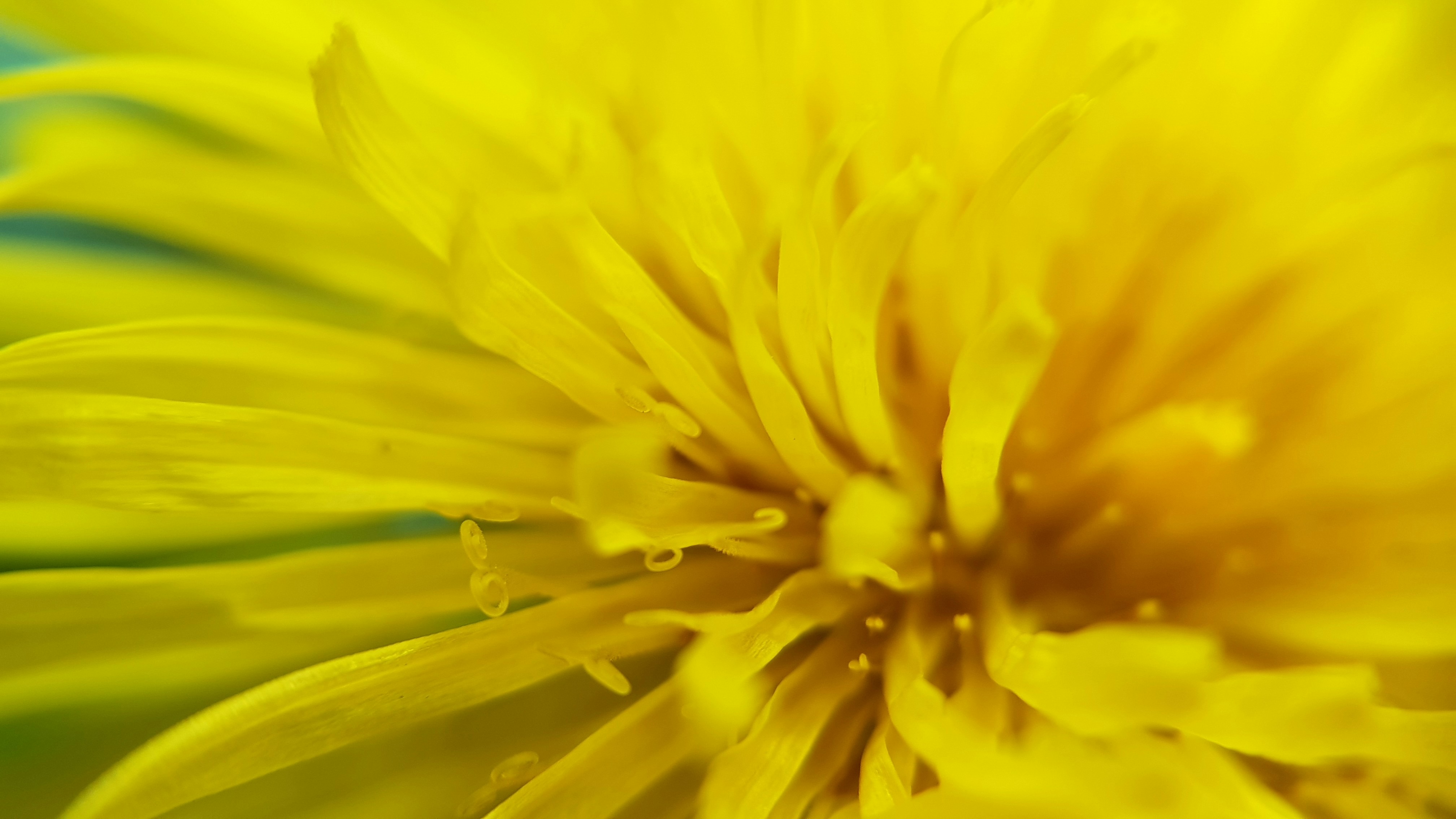 Photo by boysinbristol_photography