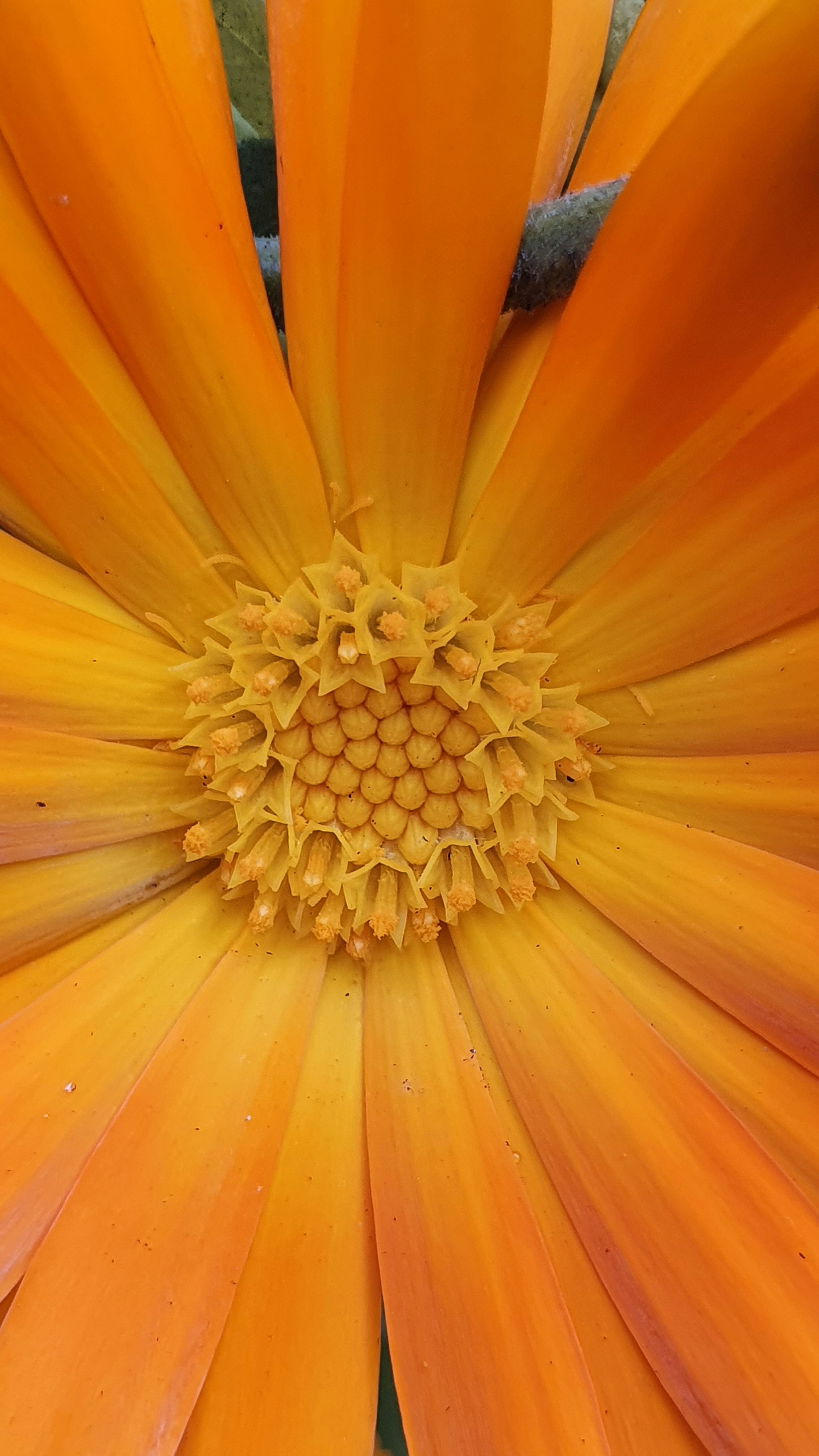 Photo by boysinbristol_photography