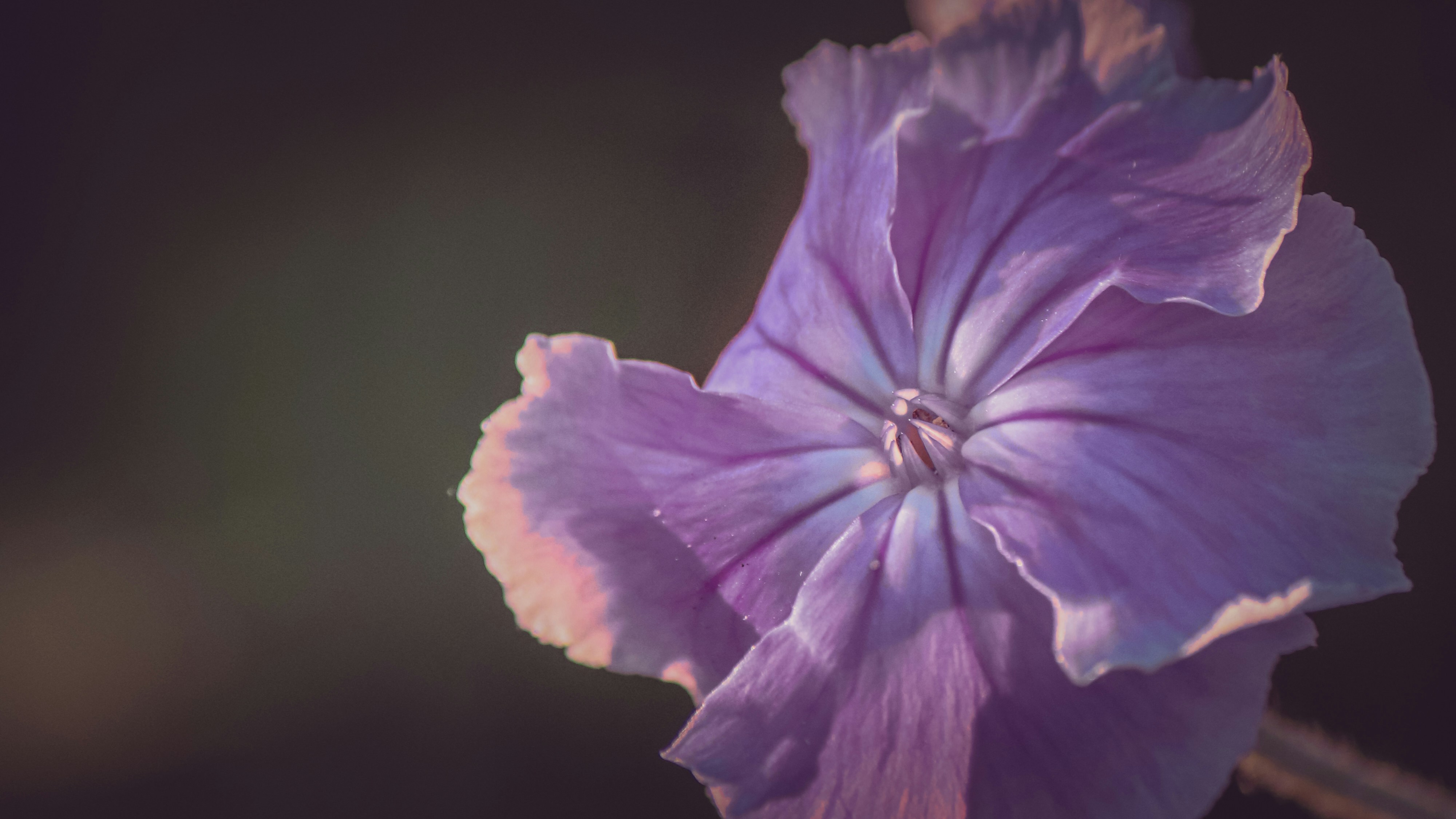 Photo by boysinbristol_photography