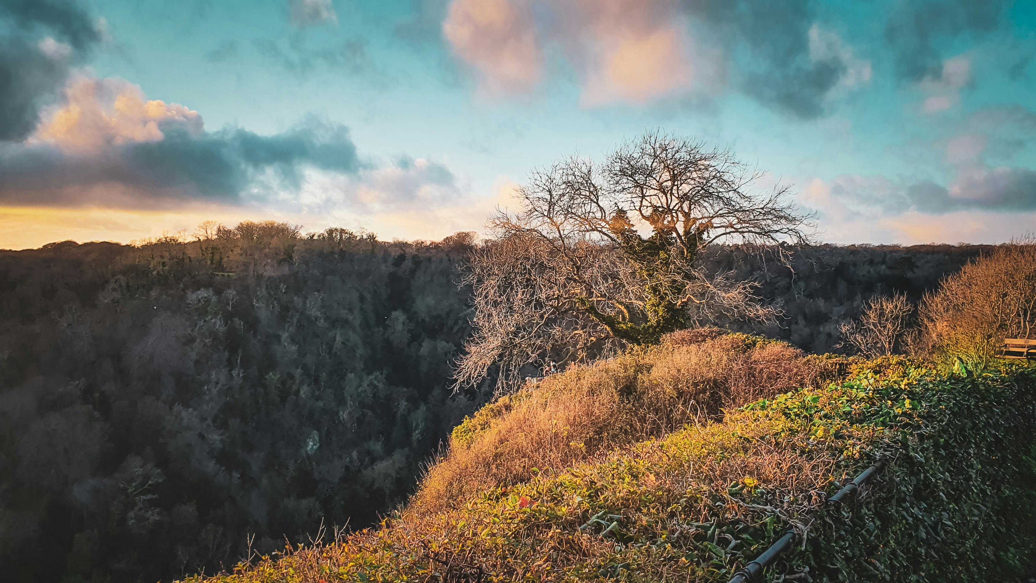 a tree on top of a hill with a sky background, 
