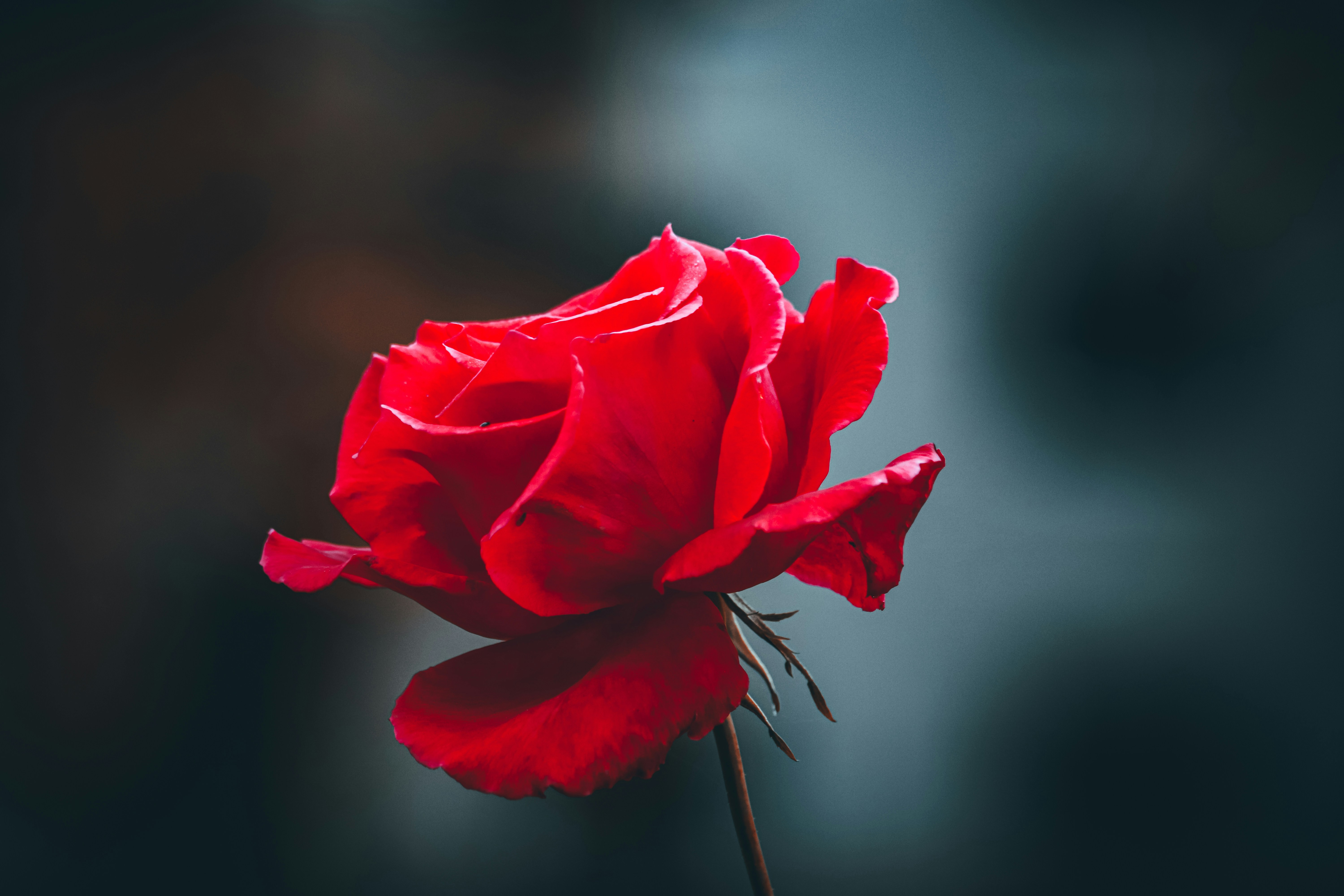 Cadres et Posters Encadrés