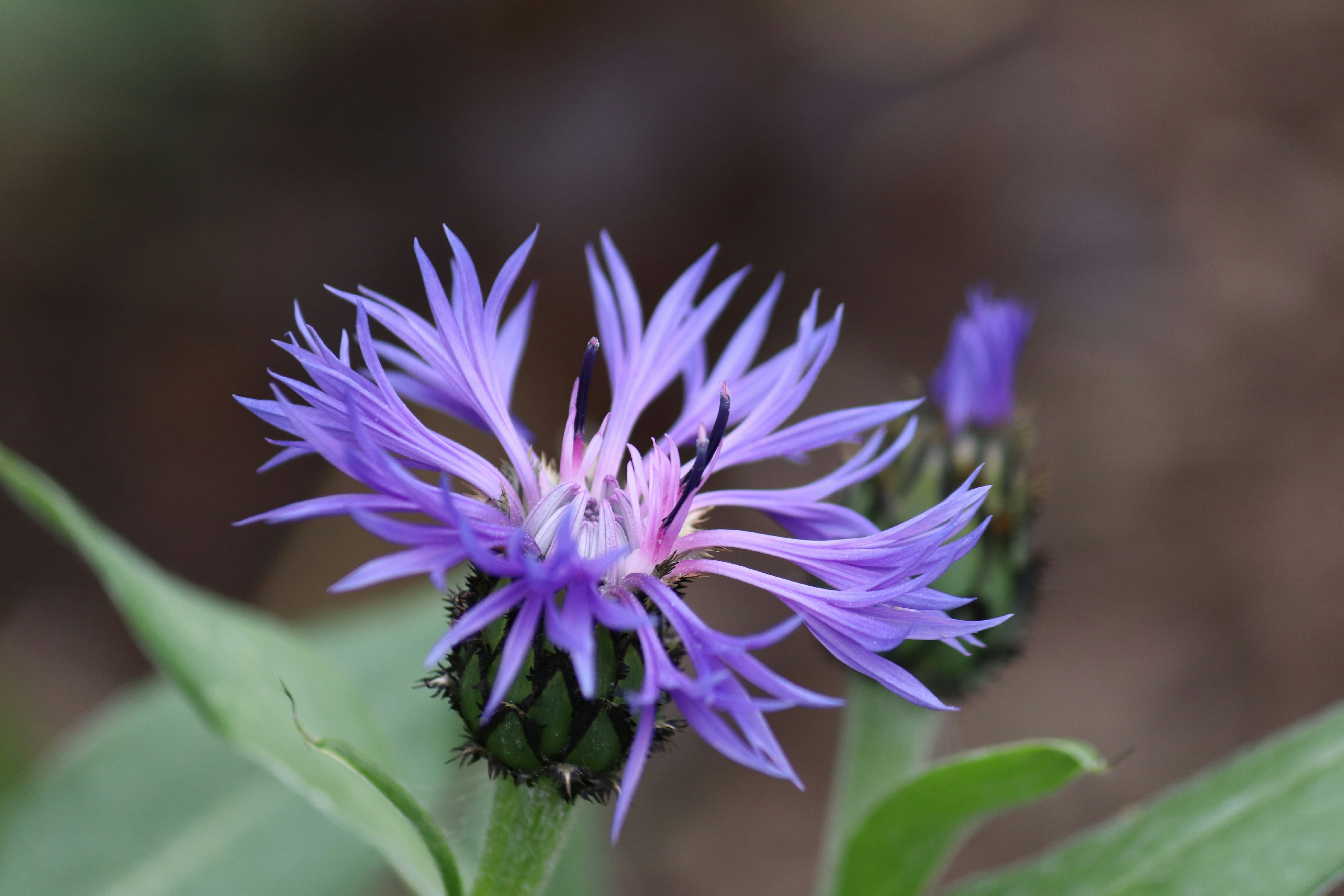 Photo by boysinbristol_photography