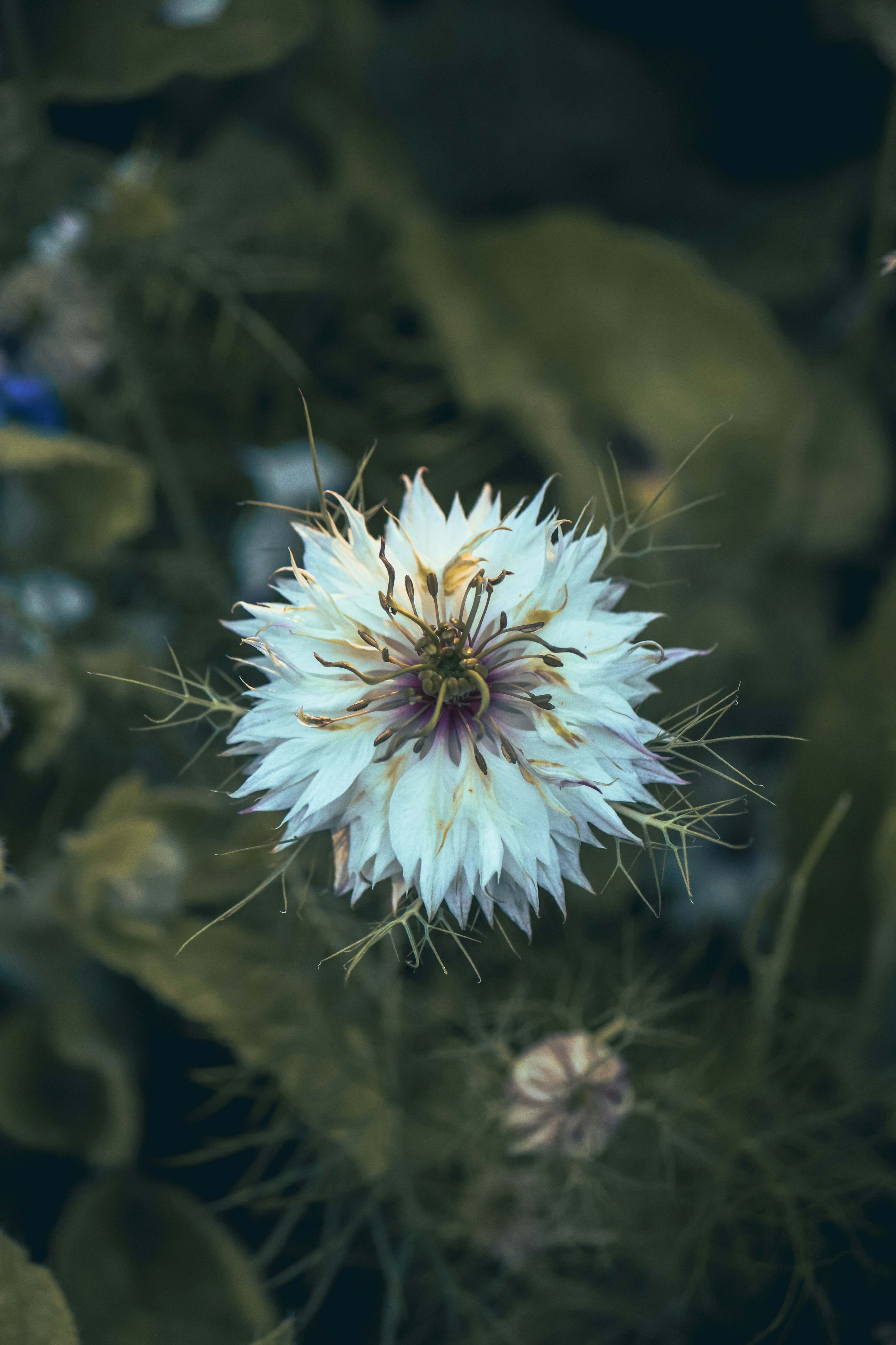 Photo by boysinbristol_photography