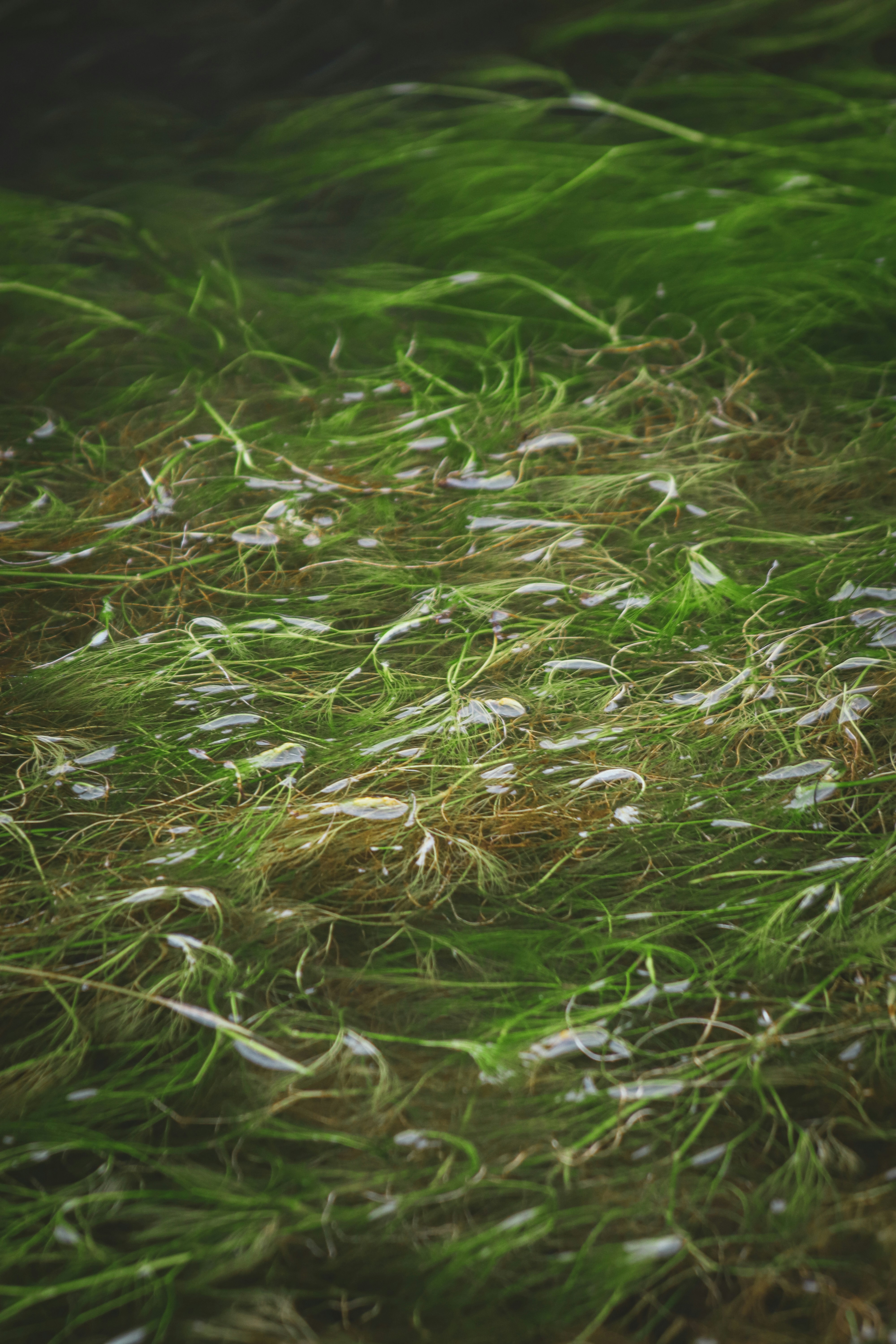 mindfulness activities