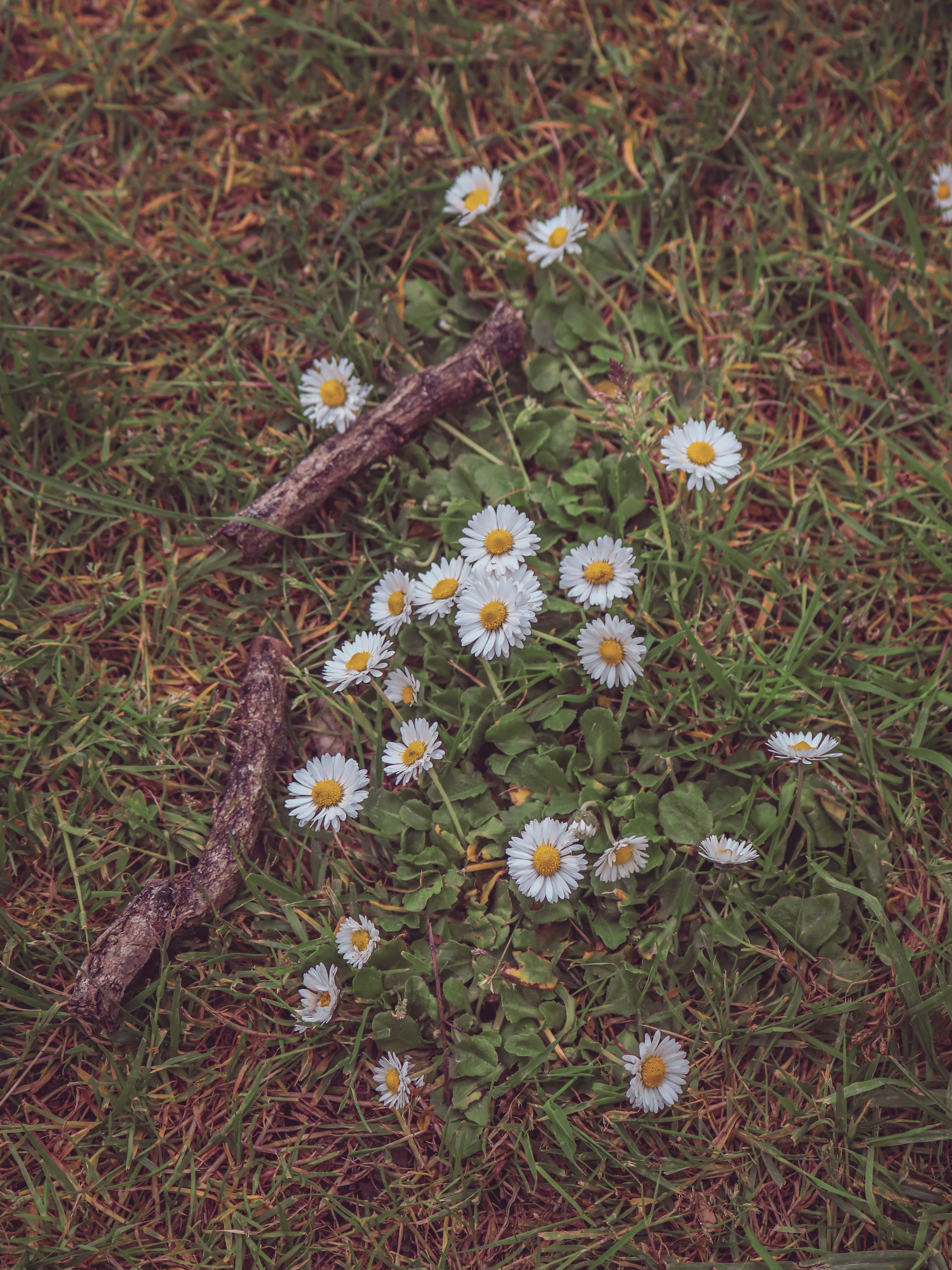 Photo by boysinbristol_photography