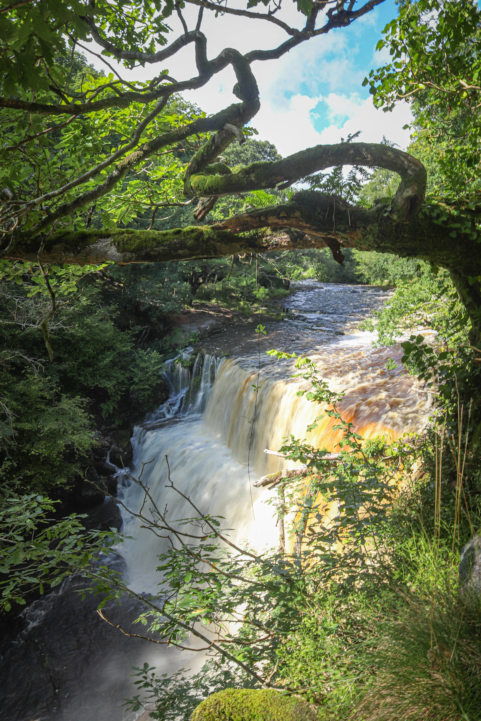 A waterfall cascading down a rocky cliff in the Brecon Beacons.